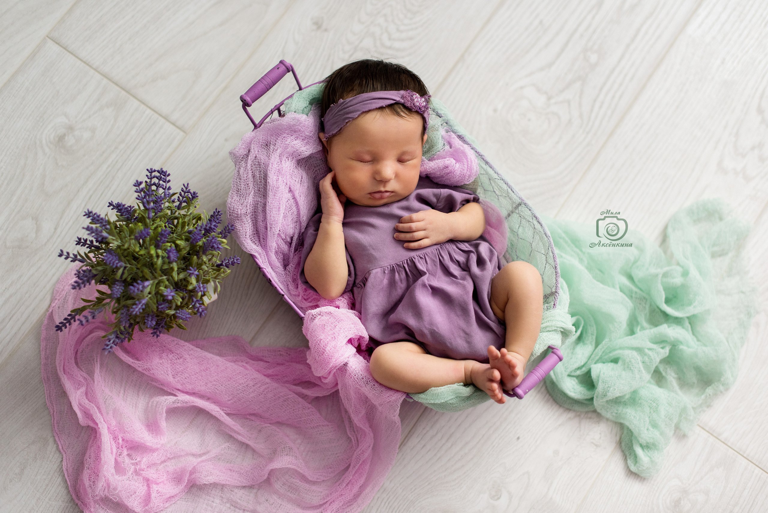 Портфолио новорожденных. Фотограф в Нефтеюганске Мила Аксёнкина