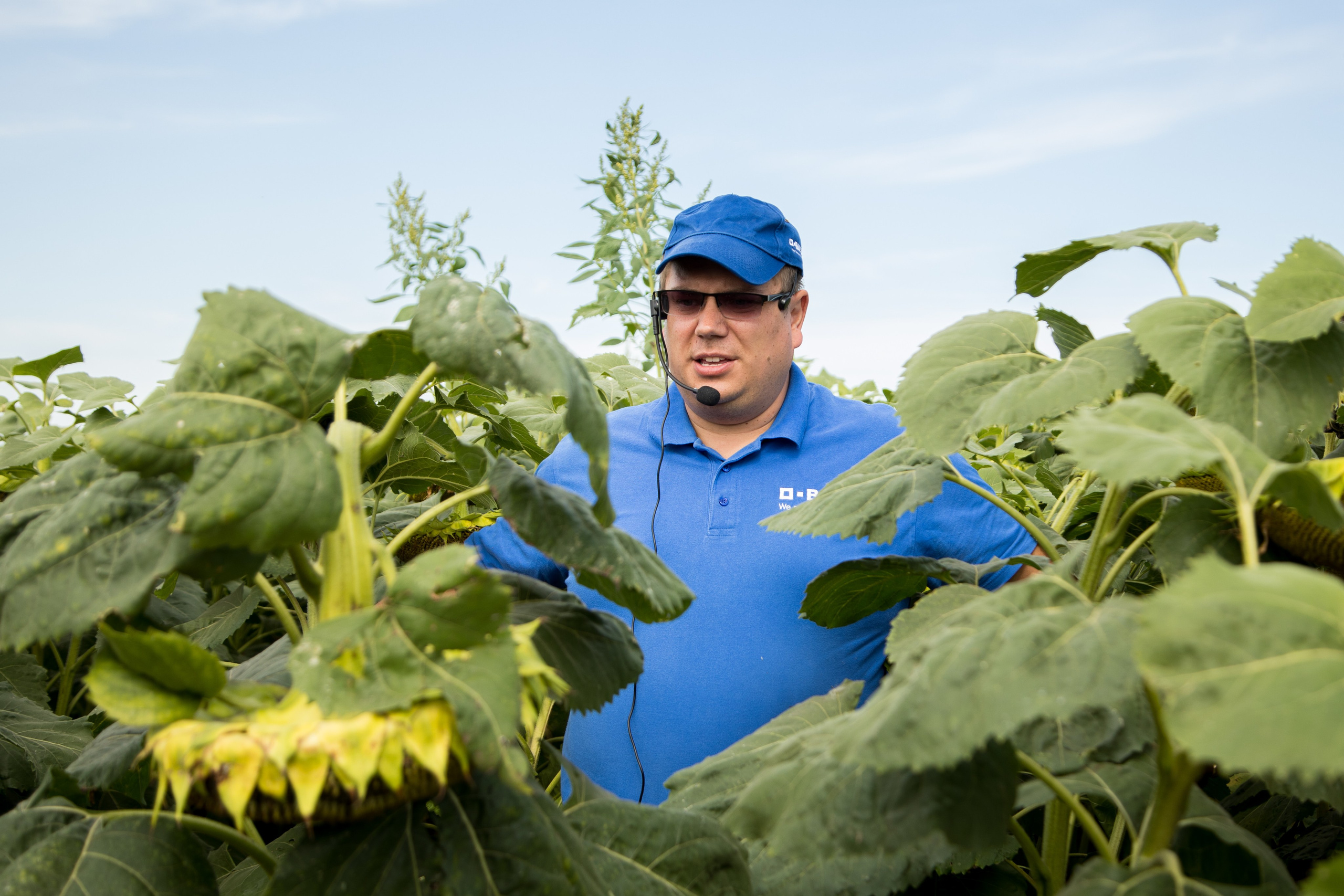 Решения для сельского хозяйства BASF 16.08.2022. Владислав Волков | Фотография и видеосъемка в Воронеже