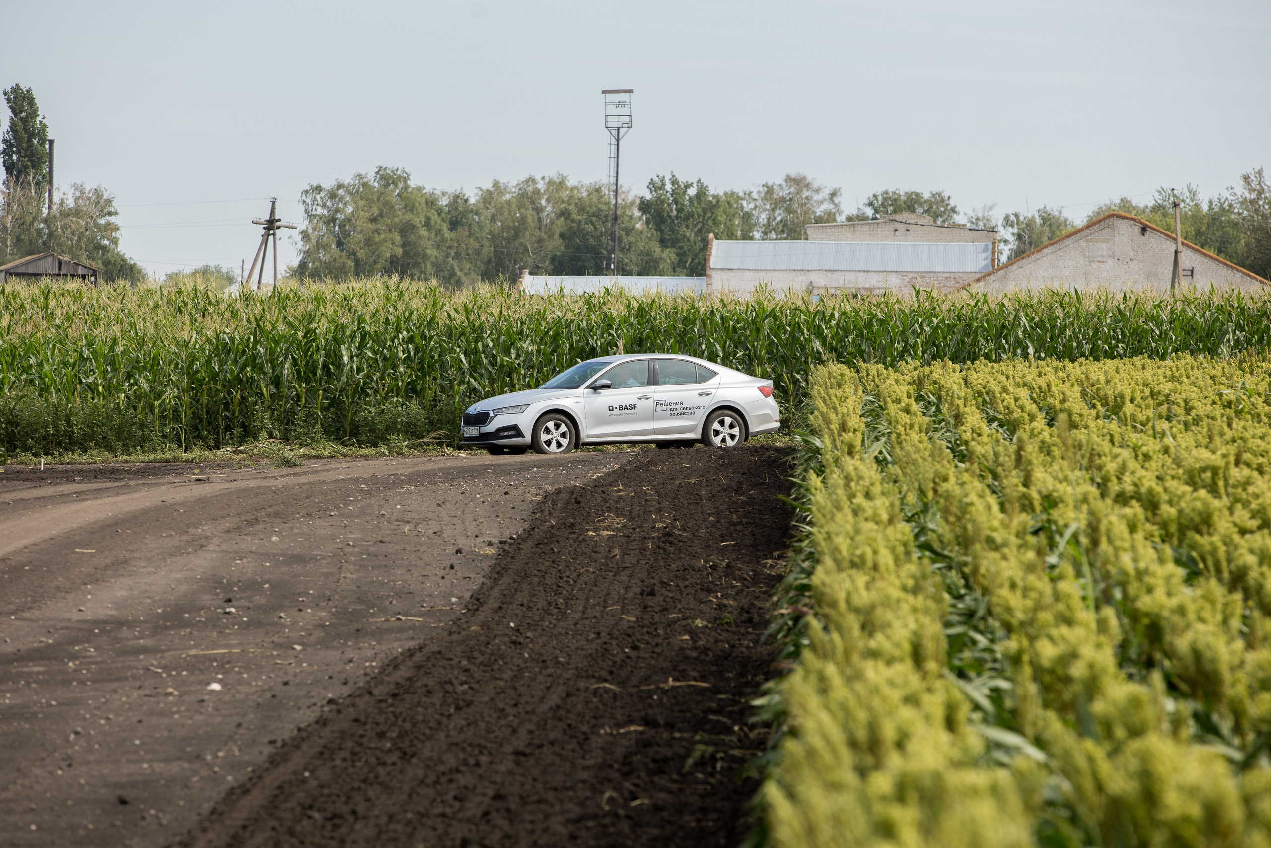 Решения для сельского хозяйства BASF 16.08.2022. Владислав Волков | Фотография и видеосъемка в Воронеже