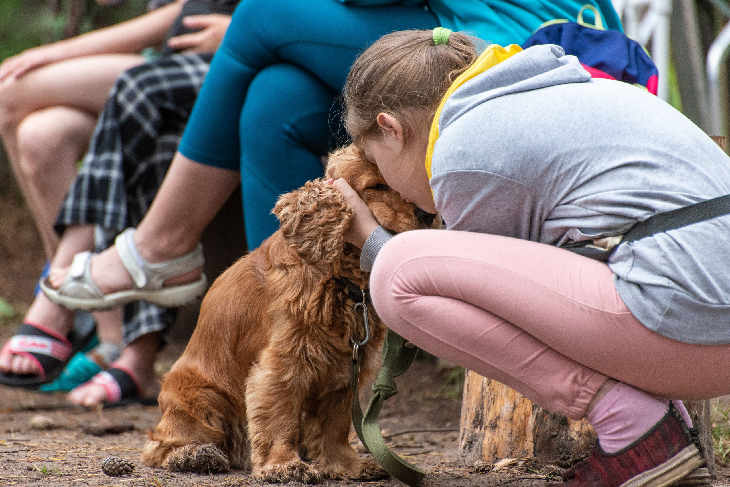 Хвостатые каникулы Детский кинологический лагерь. Фотограф Макс Огурцов в Нижнем Новгороде