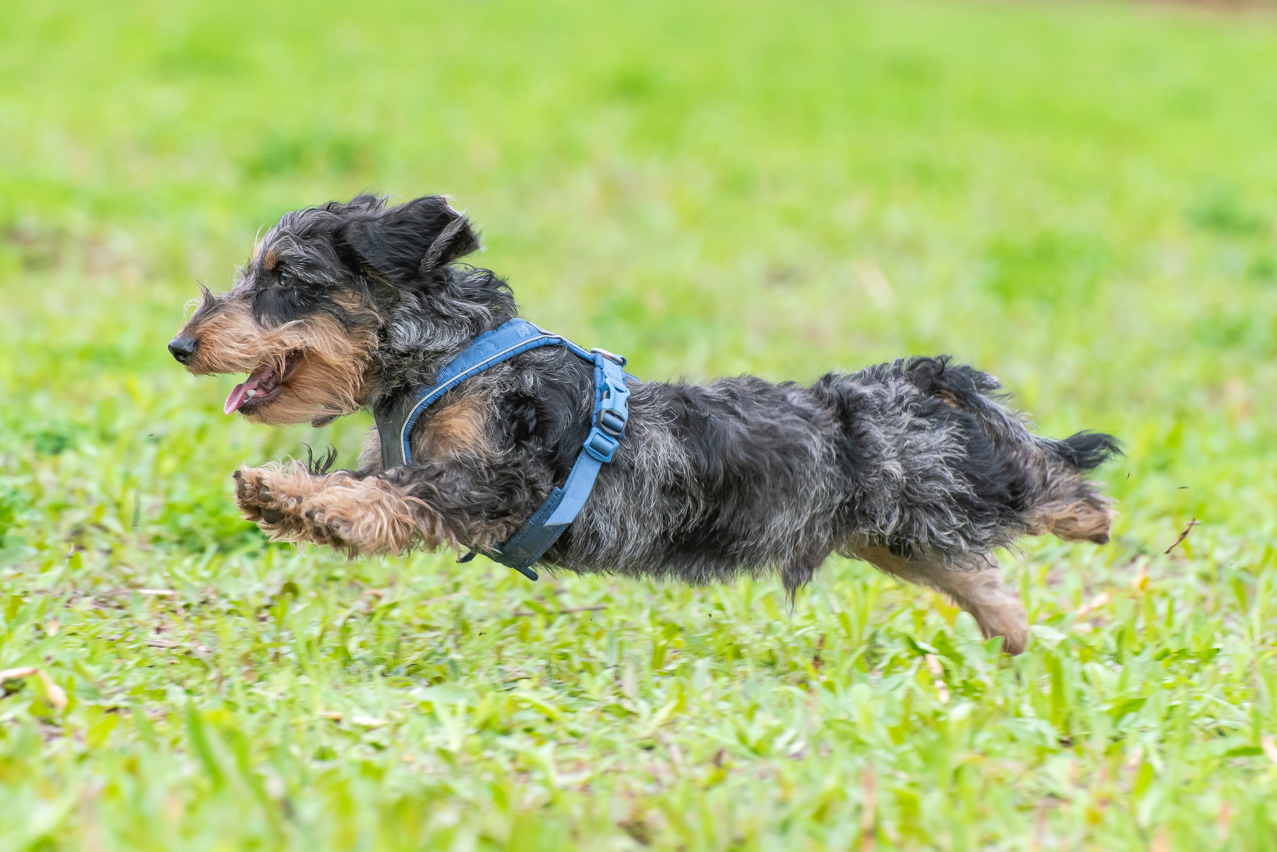Фотографии с Курсинга. Фотограф Макс Огурцов в Нижнем Новгороде