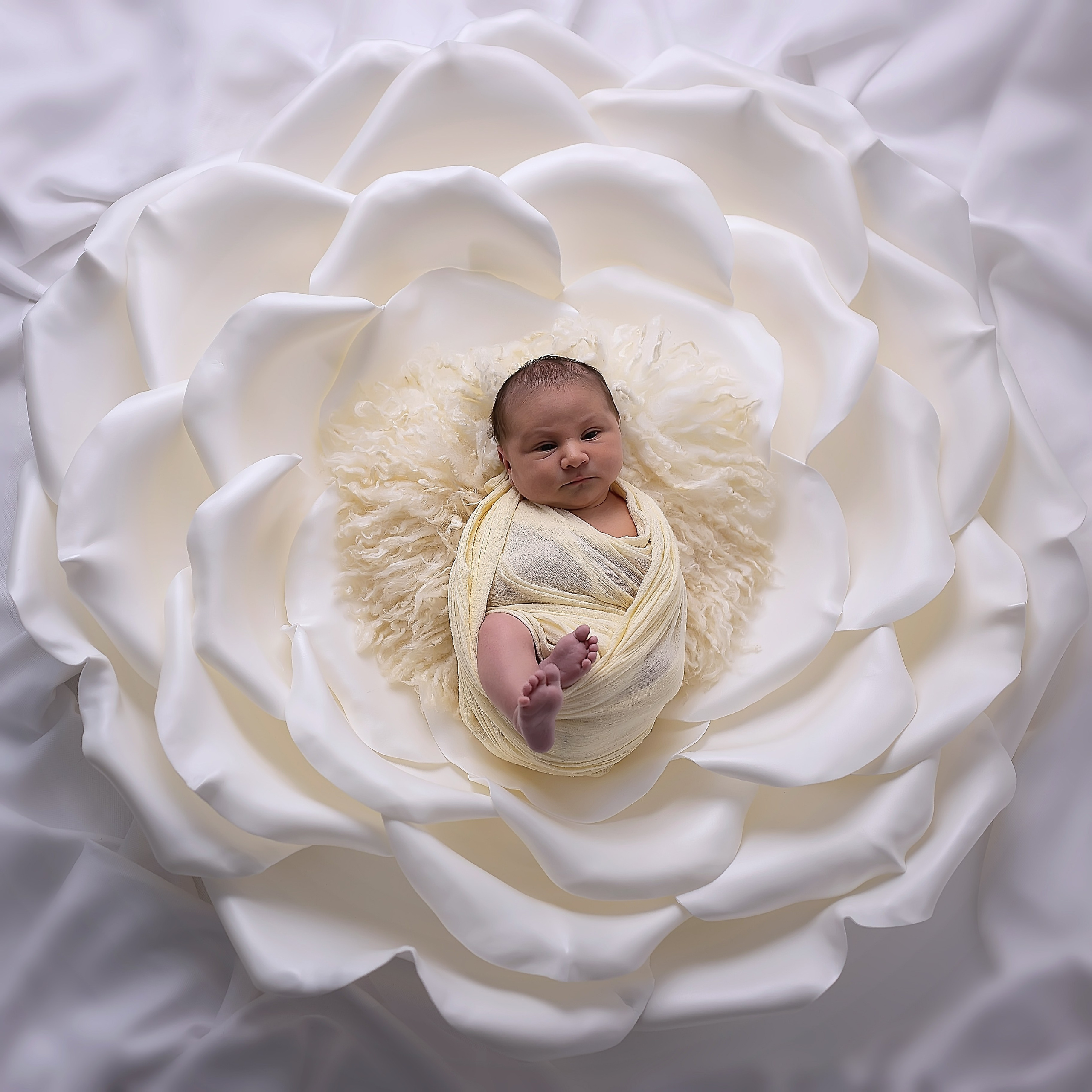 Новорожденные. Фотограф в Перми Anastasia Aone
