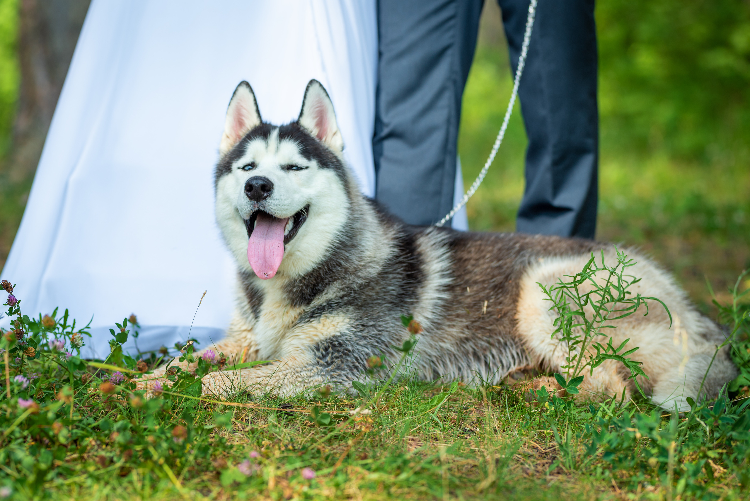 Юлия и Денис