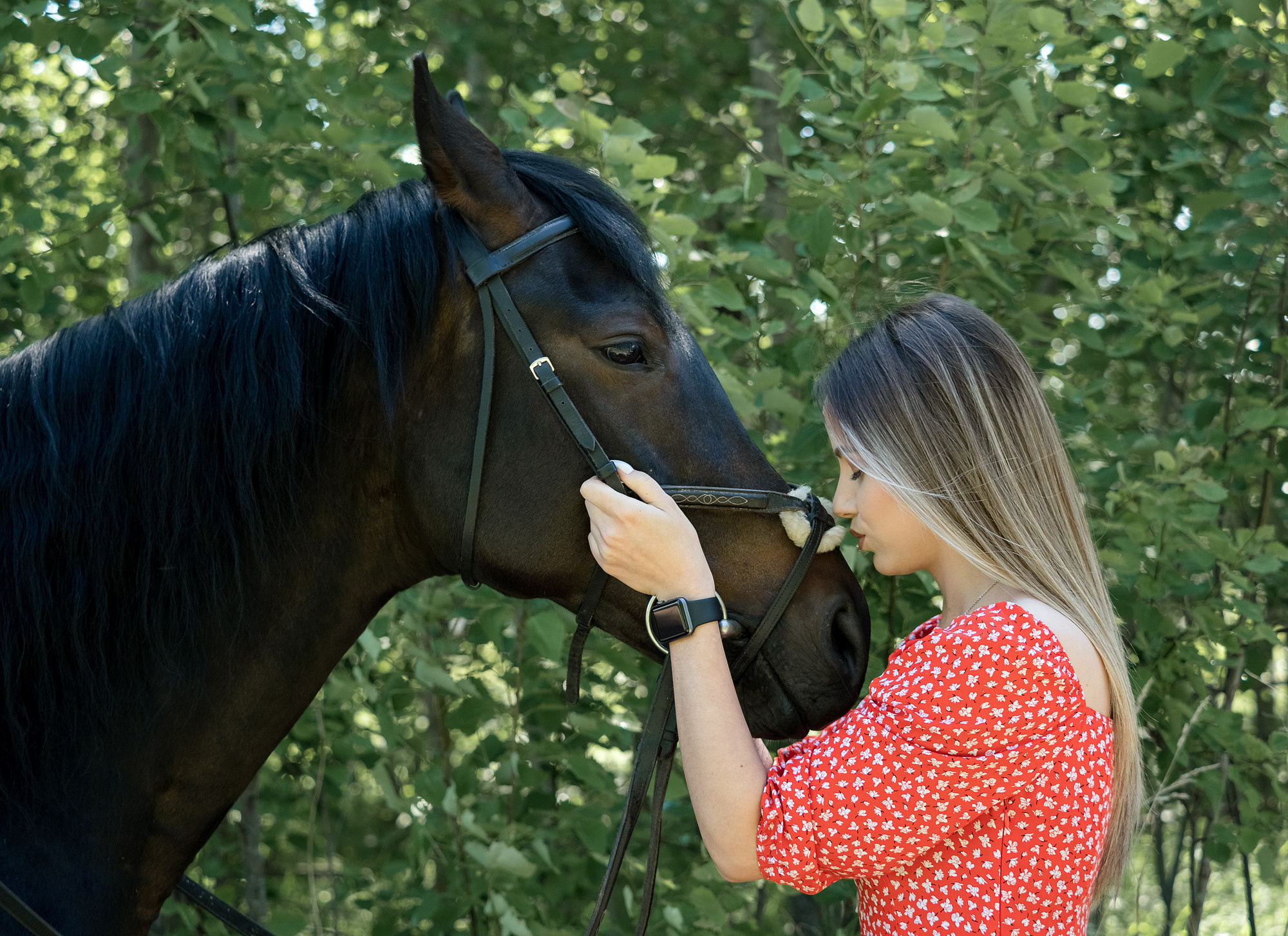 Прогулки на лошадях.Конный клуб «Лютик»