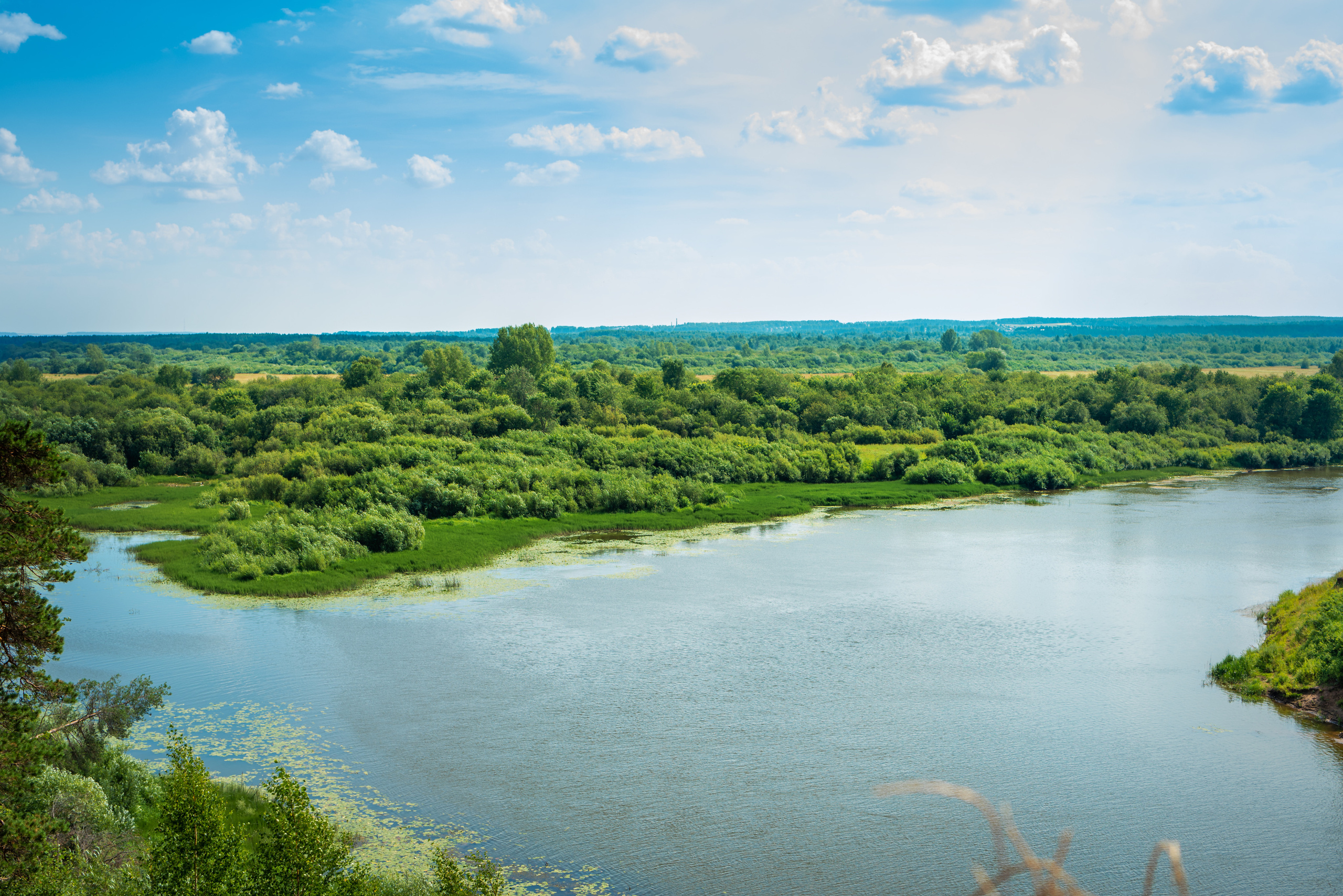 Юлия и Денис