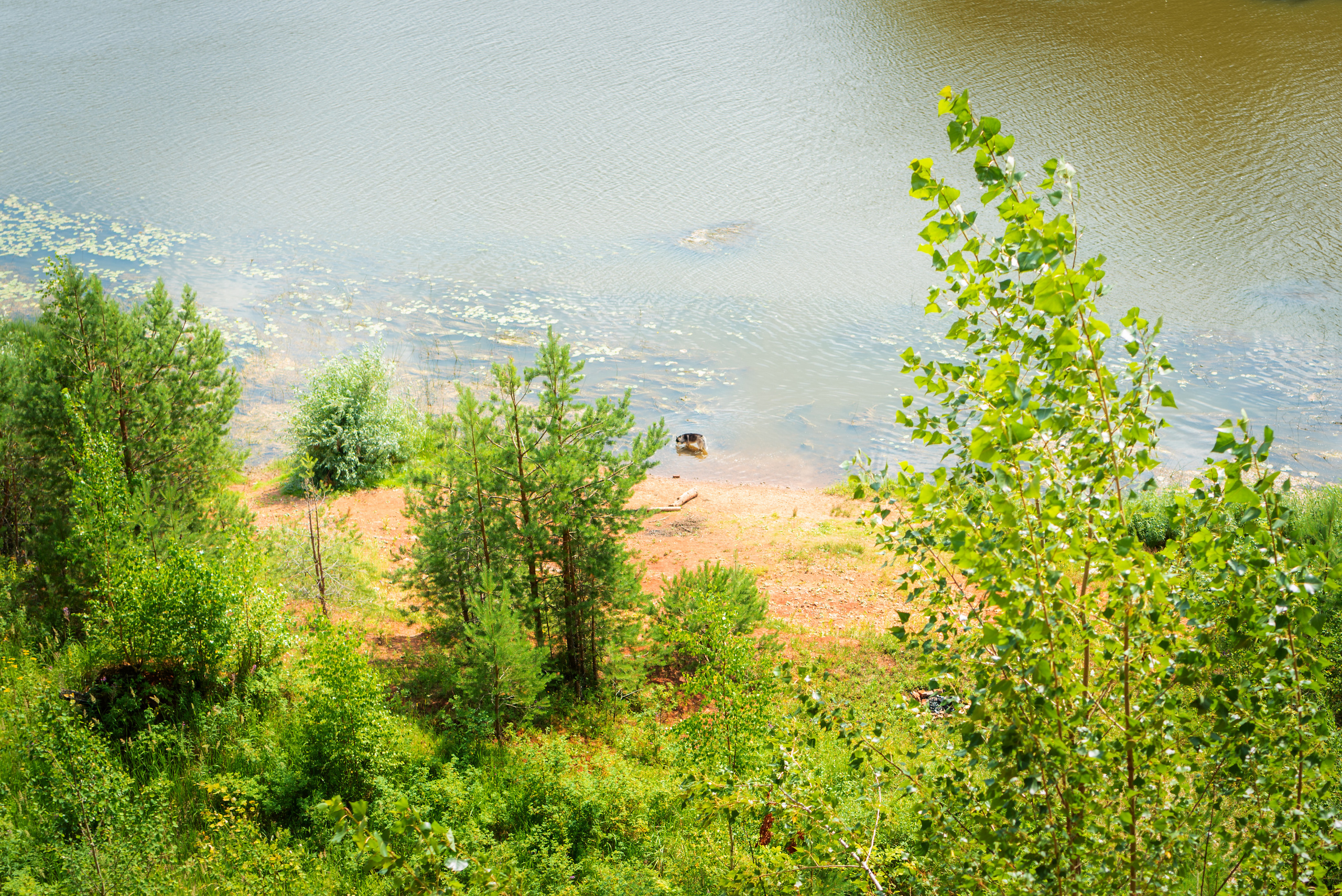 Юлия и Денис