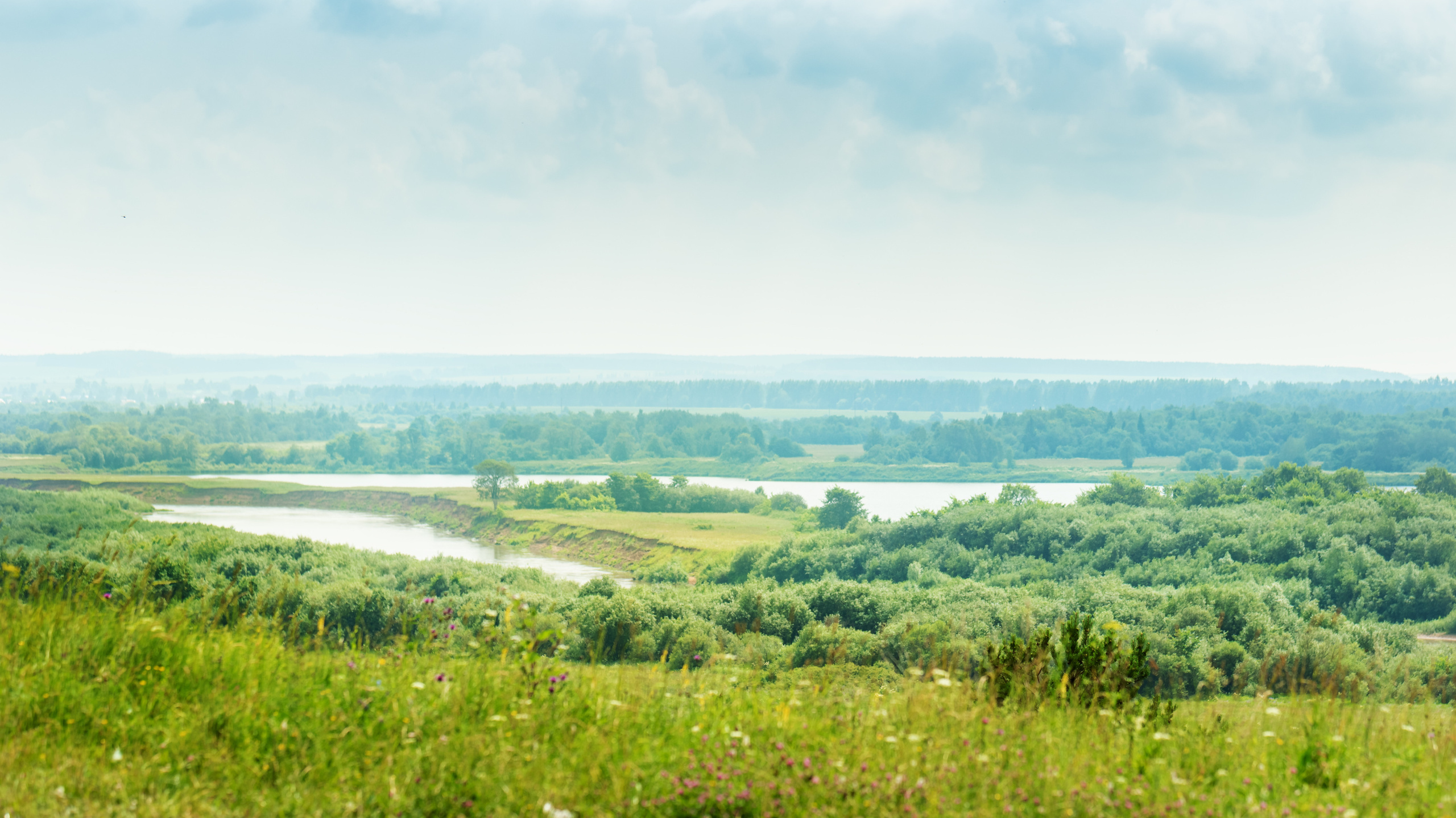 Елизавета и Сергей