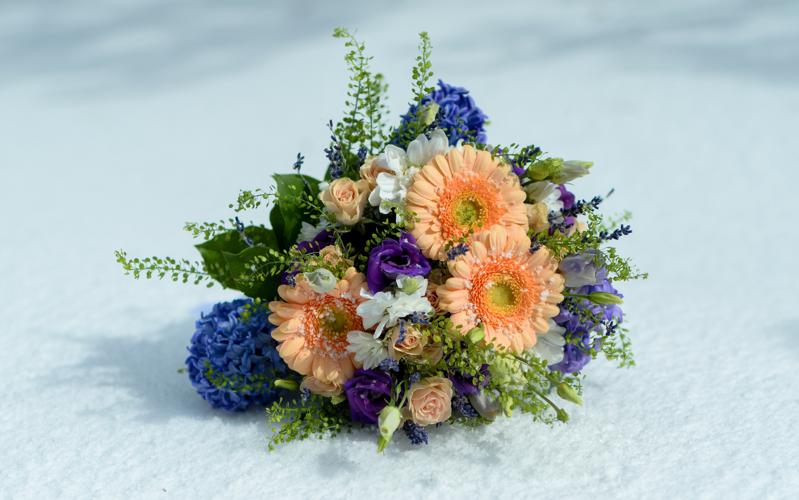 Ксения и Михаил