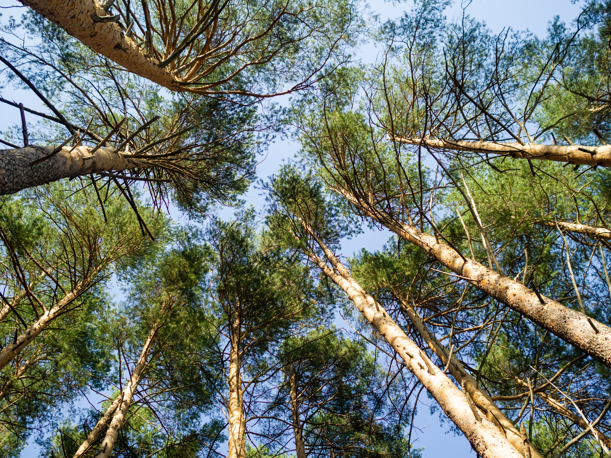 Наталья и Иван