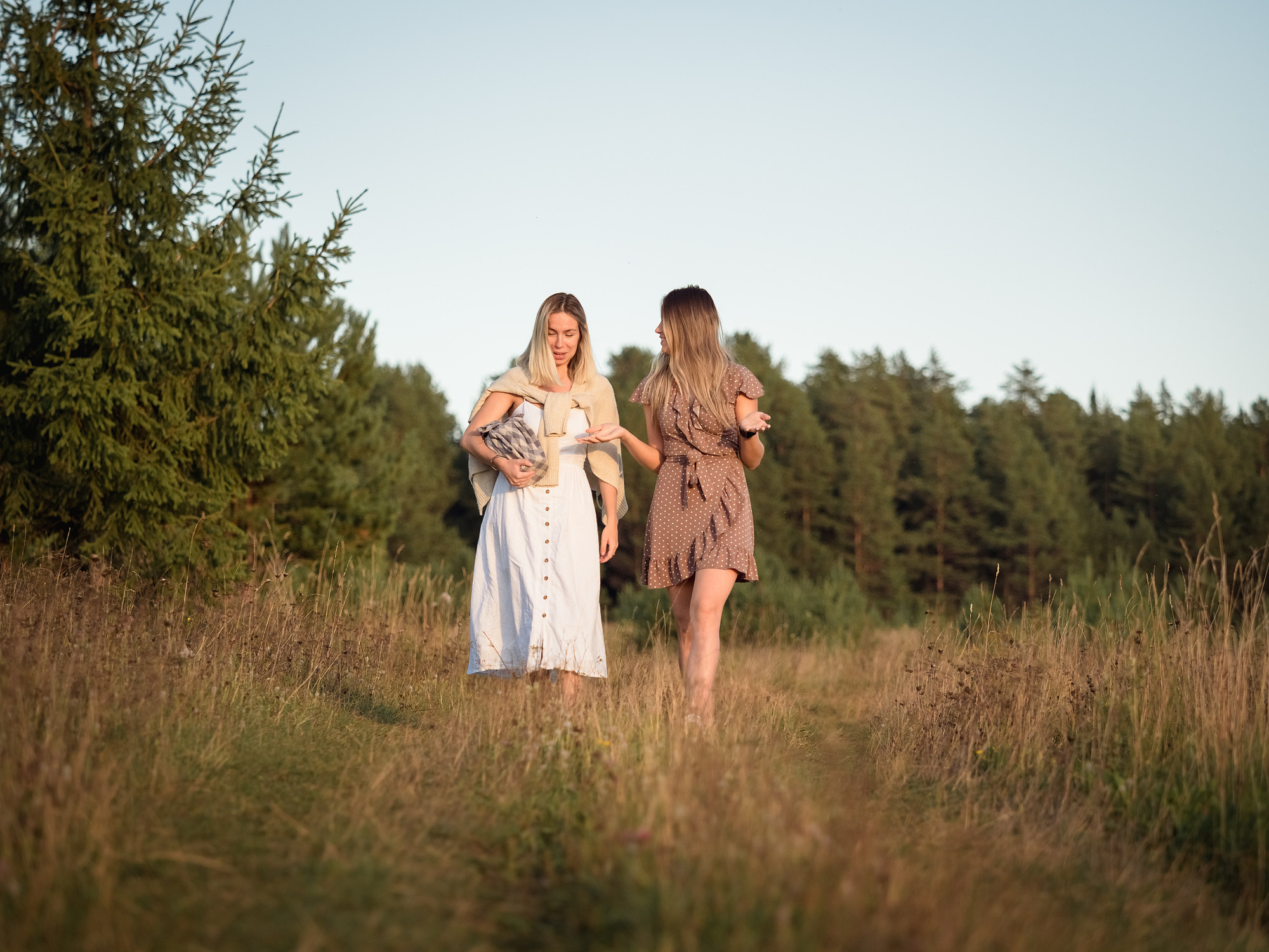 Летняя прогулка