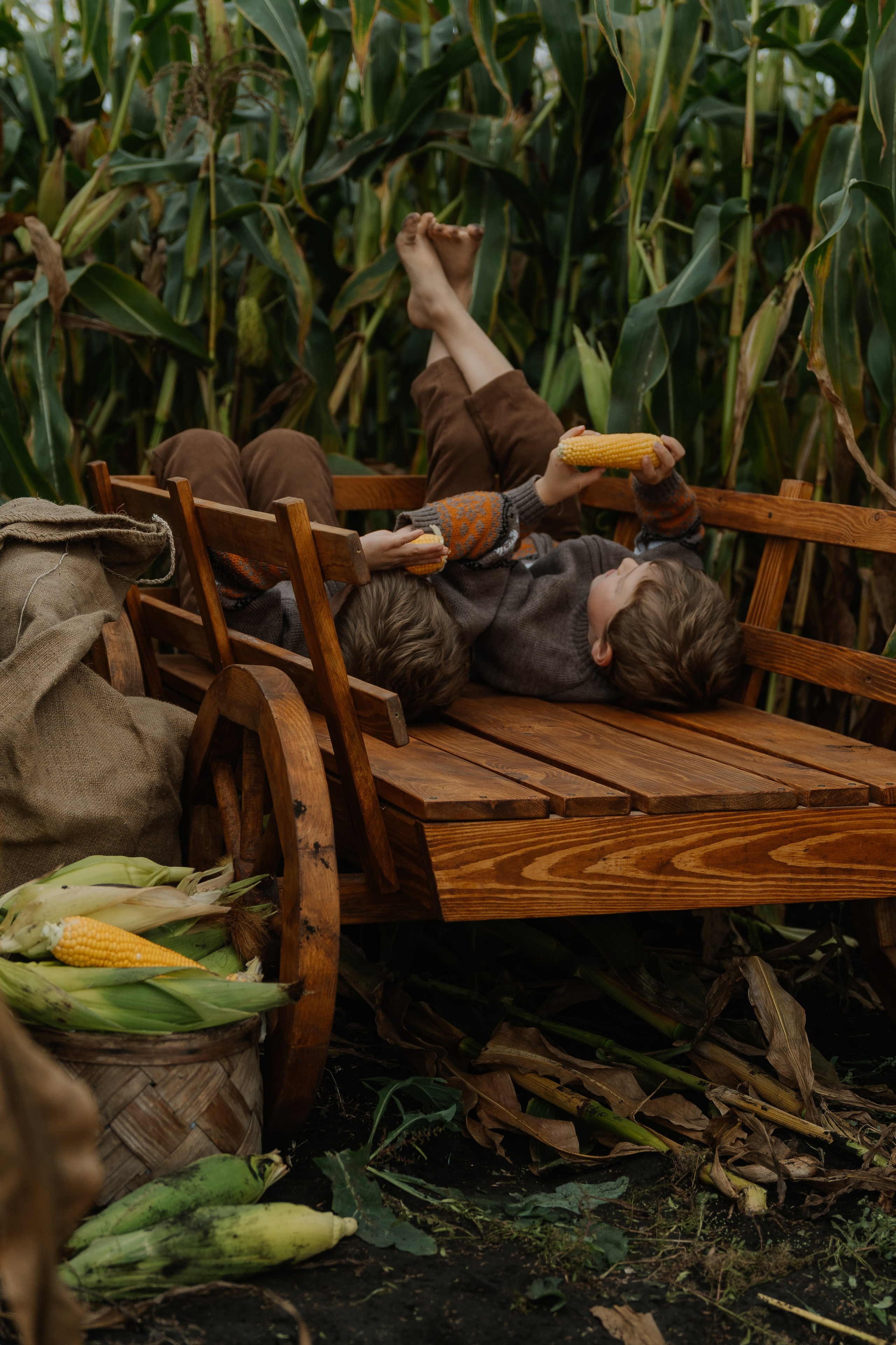 Ваня и Илья в кукурузе. СВАДЕБНЫЙ ФОТОГРАФ КРАСНОЯРСК