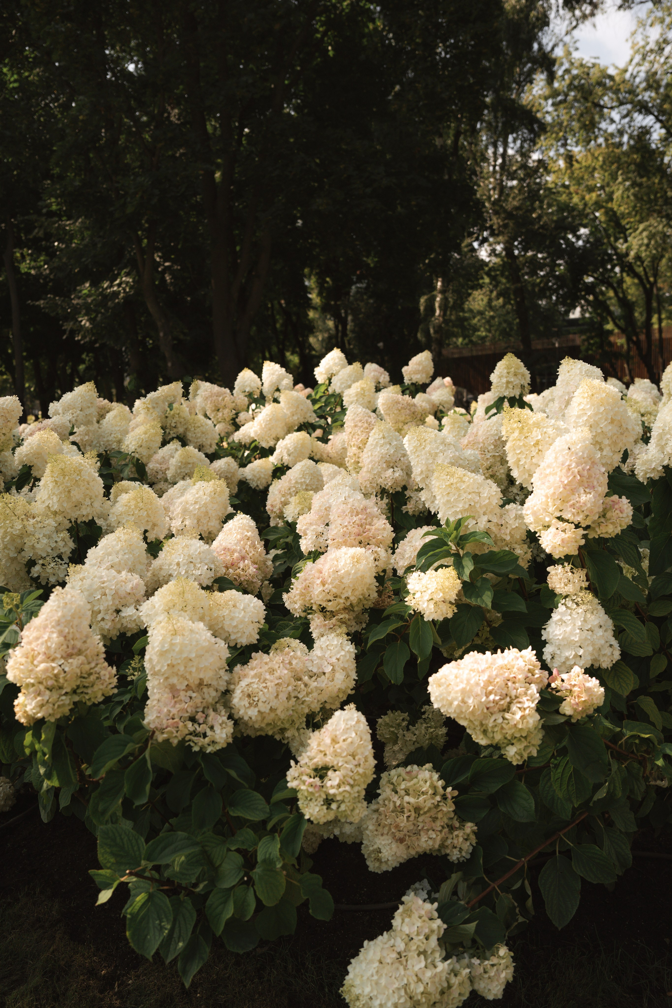 Александр и Оксана. Свадебный фотограф Воронеж Марина Грудинина