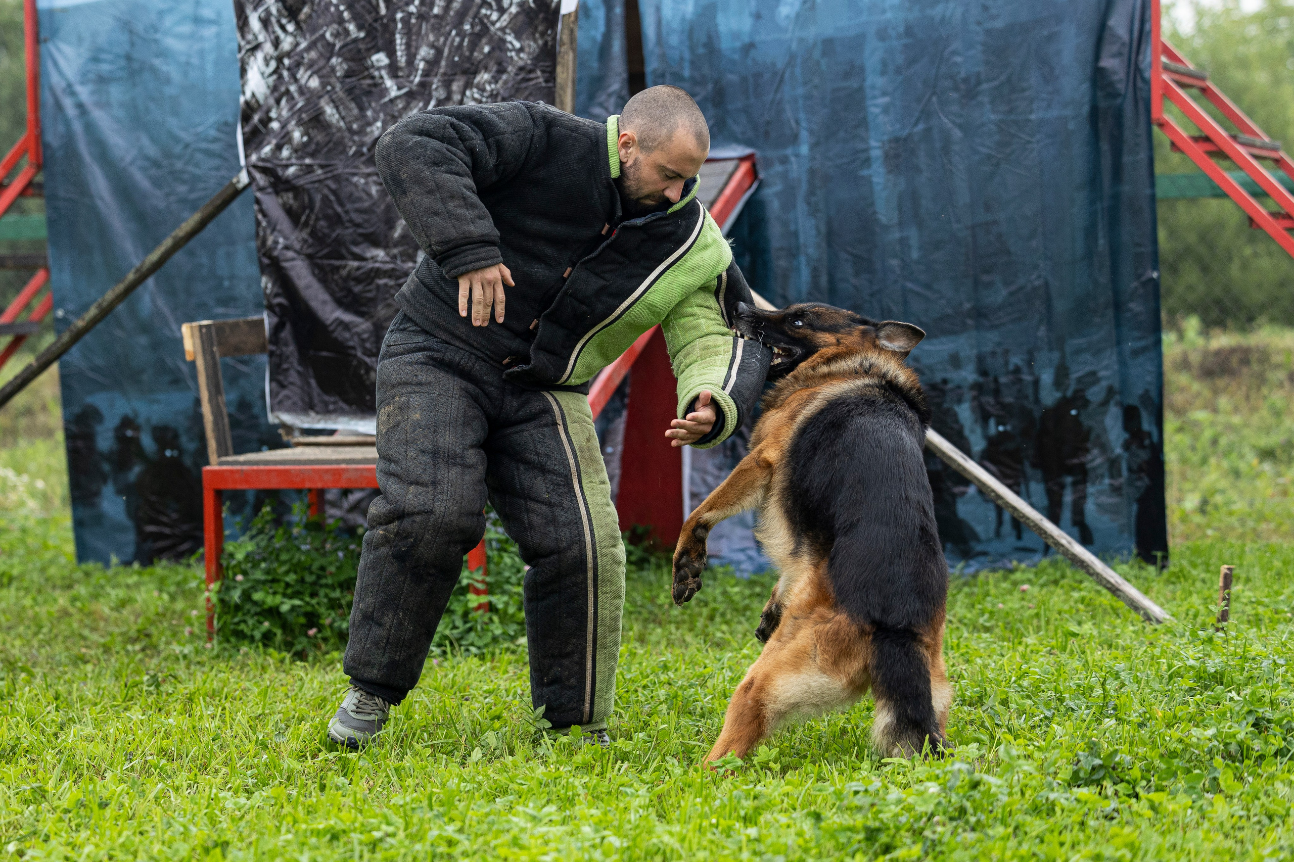 Соревнования по Мондьорингу г. Вологда 10-11.08.2024. Фотограф-анималист Анна Маринич
