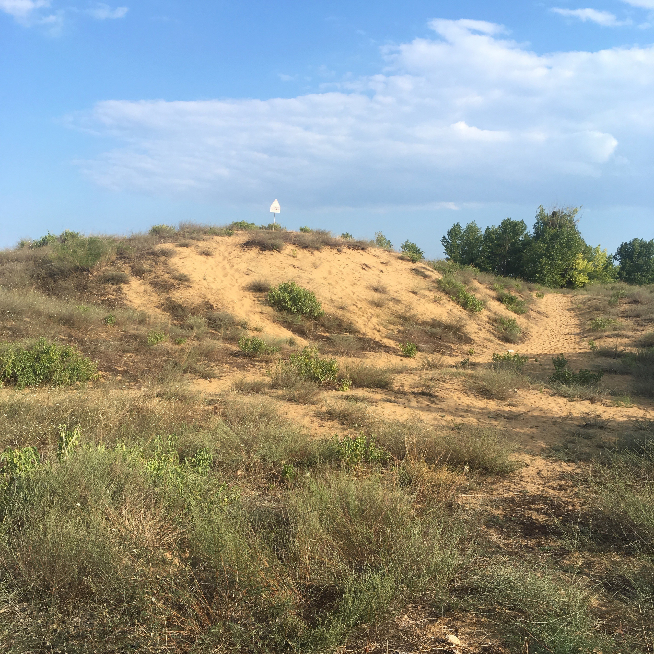 Болгария. Главная