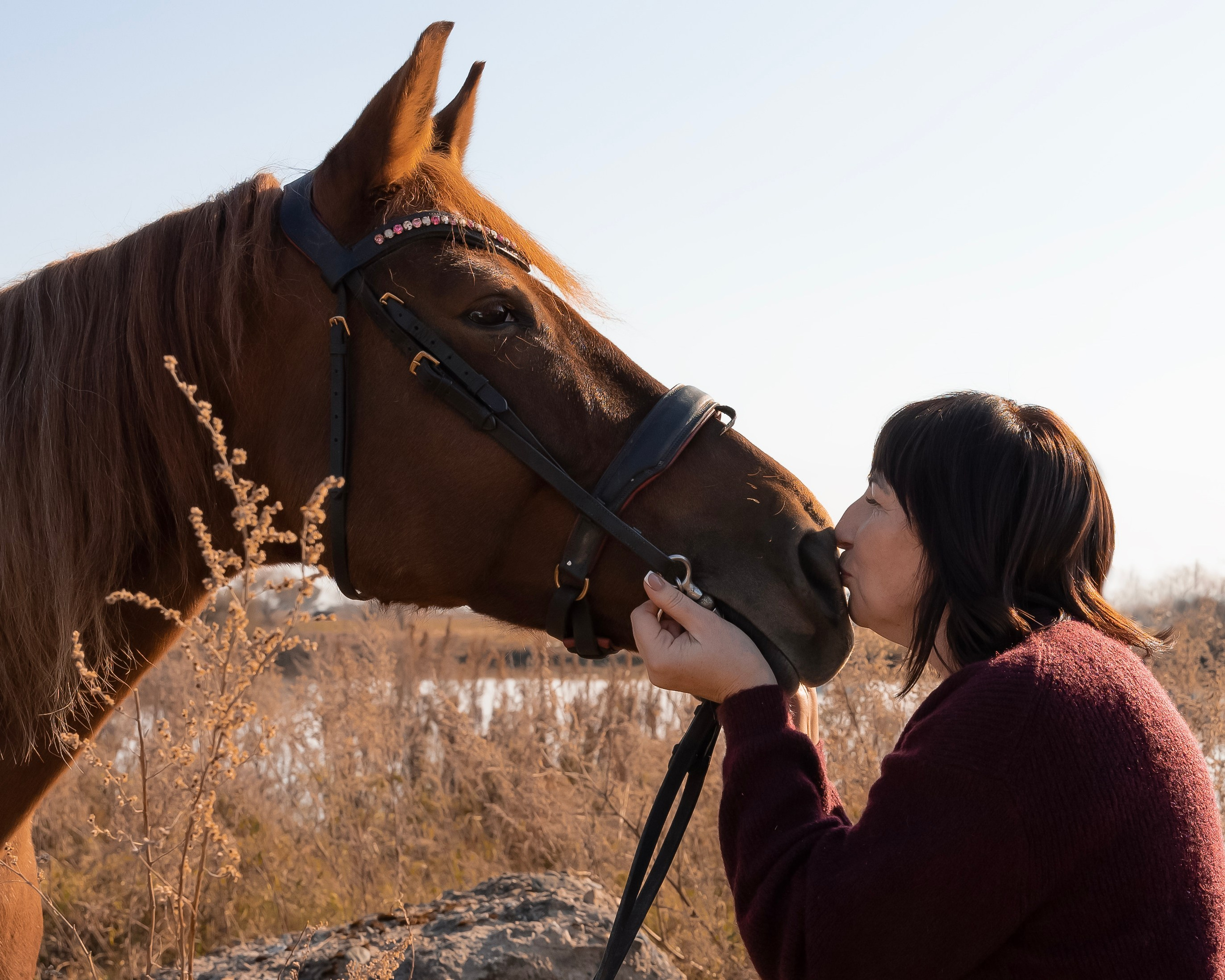Фотосессия с лошадью. Женский, семейный фотограф в г. Уссурийске Марина Гусарова