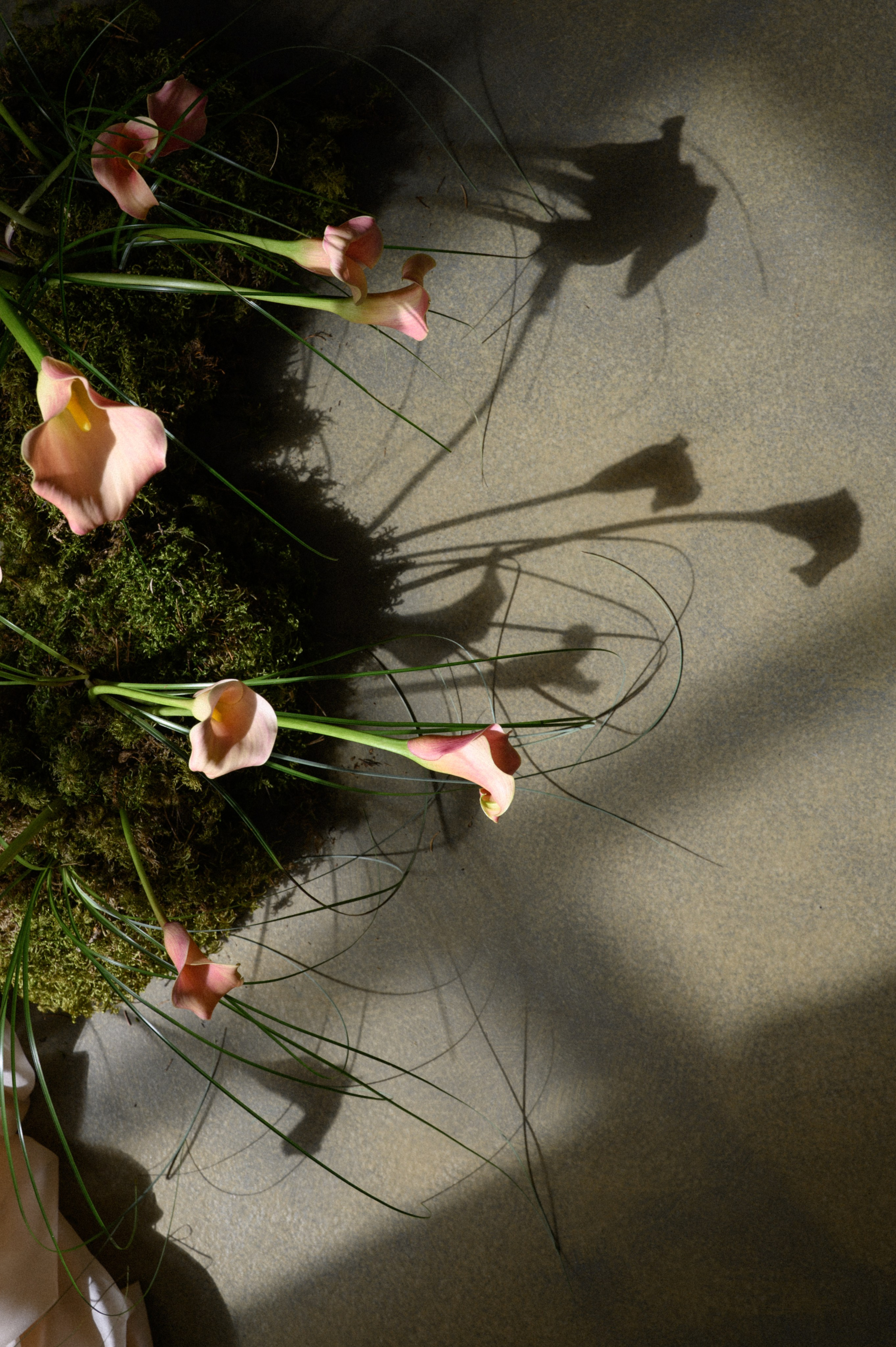 Иван и Наталья. Свадебный фотограф Минск