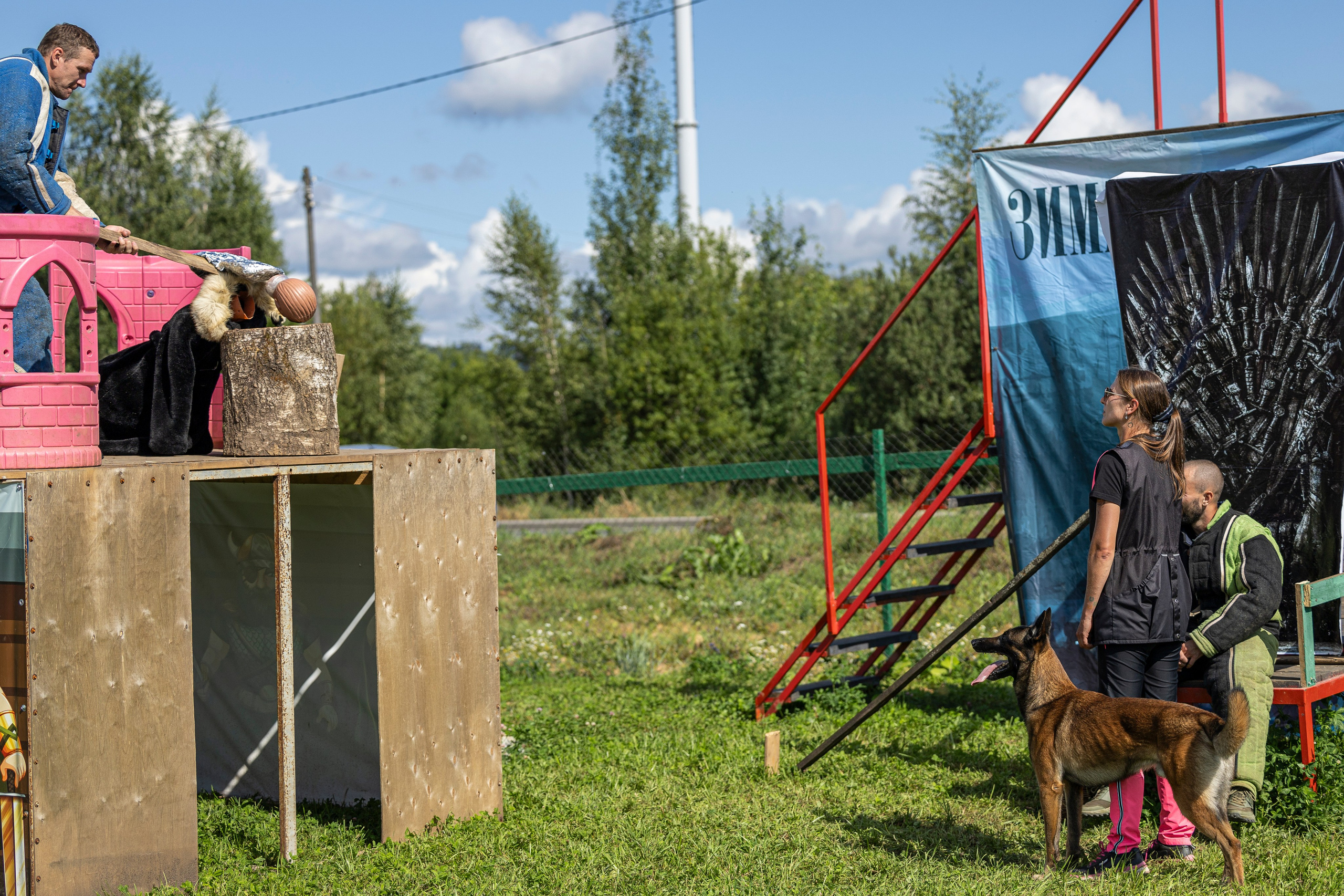 Соревнования по Мондьорингу г. Вологда 10-11.08.2024. Фотограф-анималист Анна Маринич