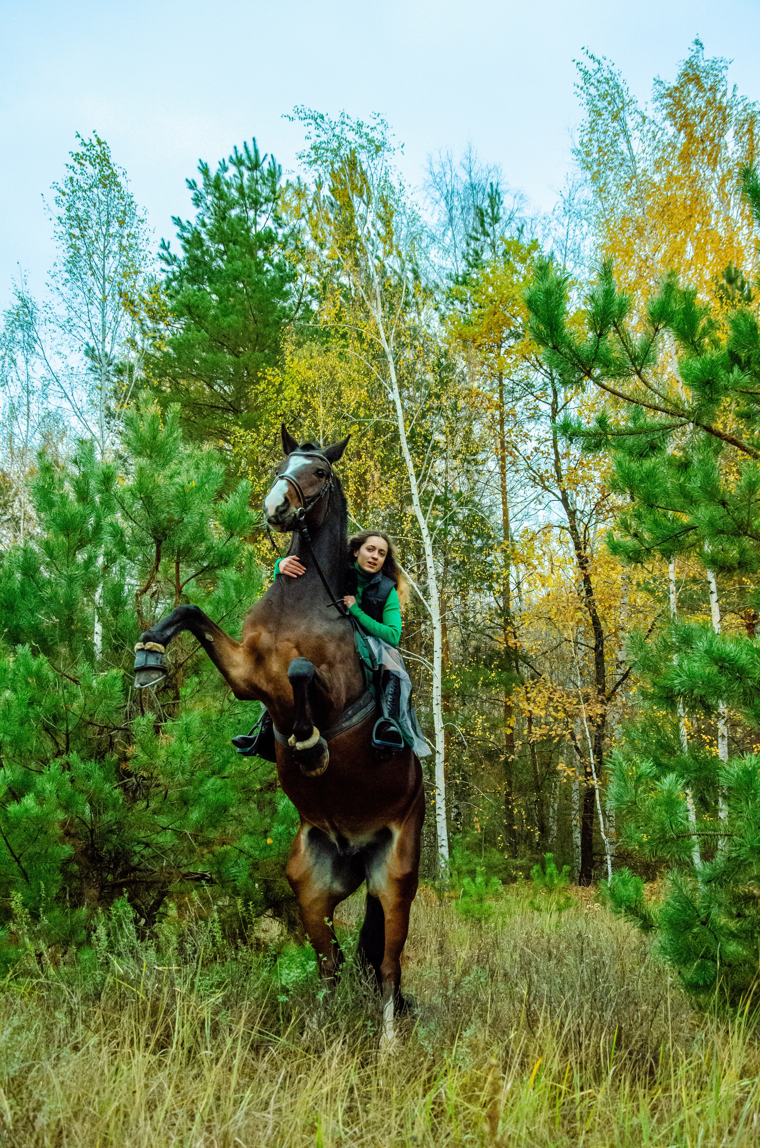 Степ. Мультифотограф Виктория Лихоманова