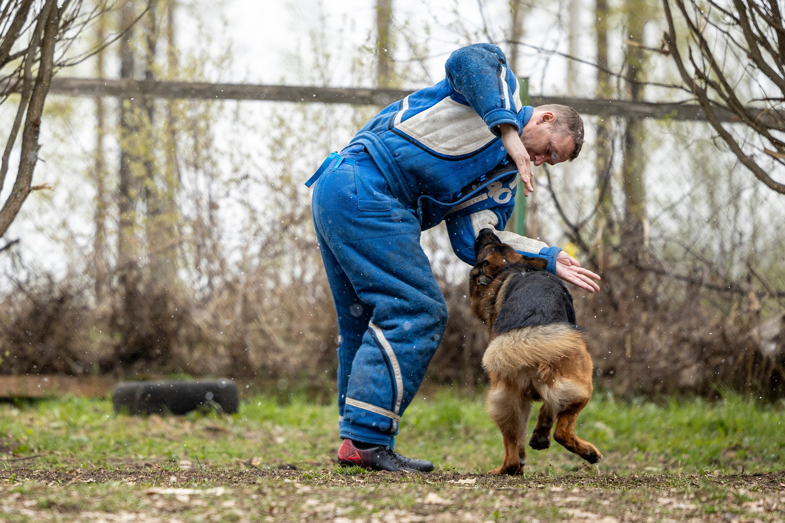 Квалификационные состязания по мондьорингу г. Вологда 11.05.24. Фотограф-анималист Анна Маринич