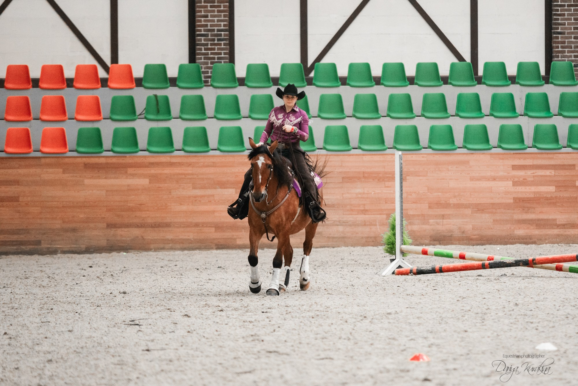 8-я международная выставка Конная Россия. Конный фотограф Куракина Дарья • Фотосессии с лошадьми