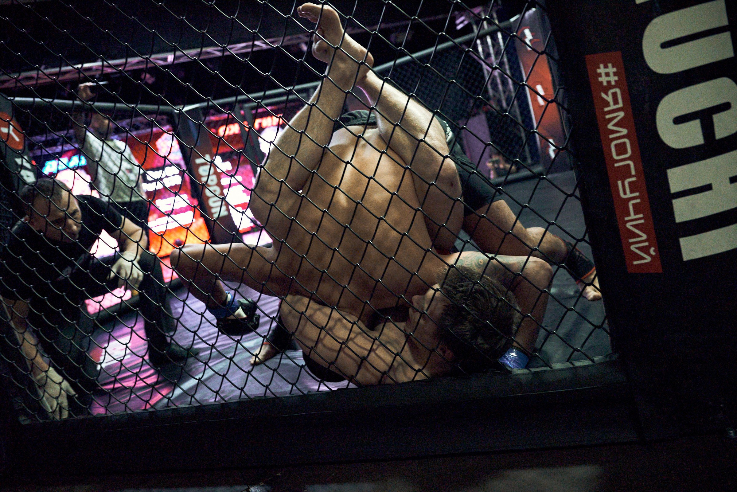 Бои. Маляревич Дмитрий свадебный фотограф