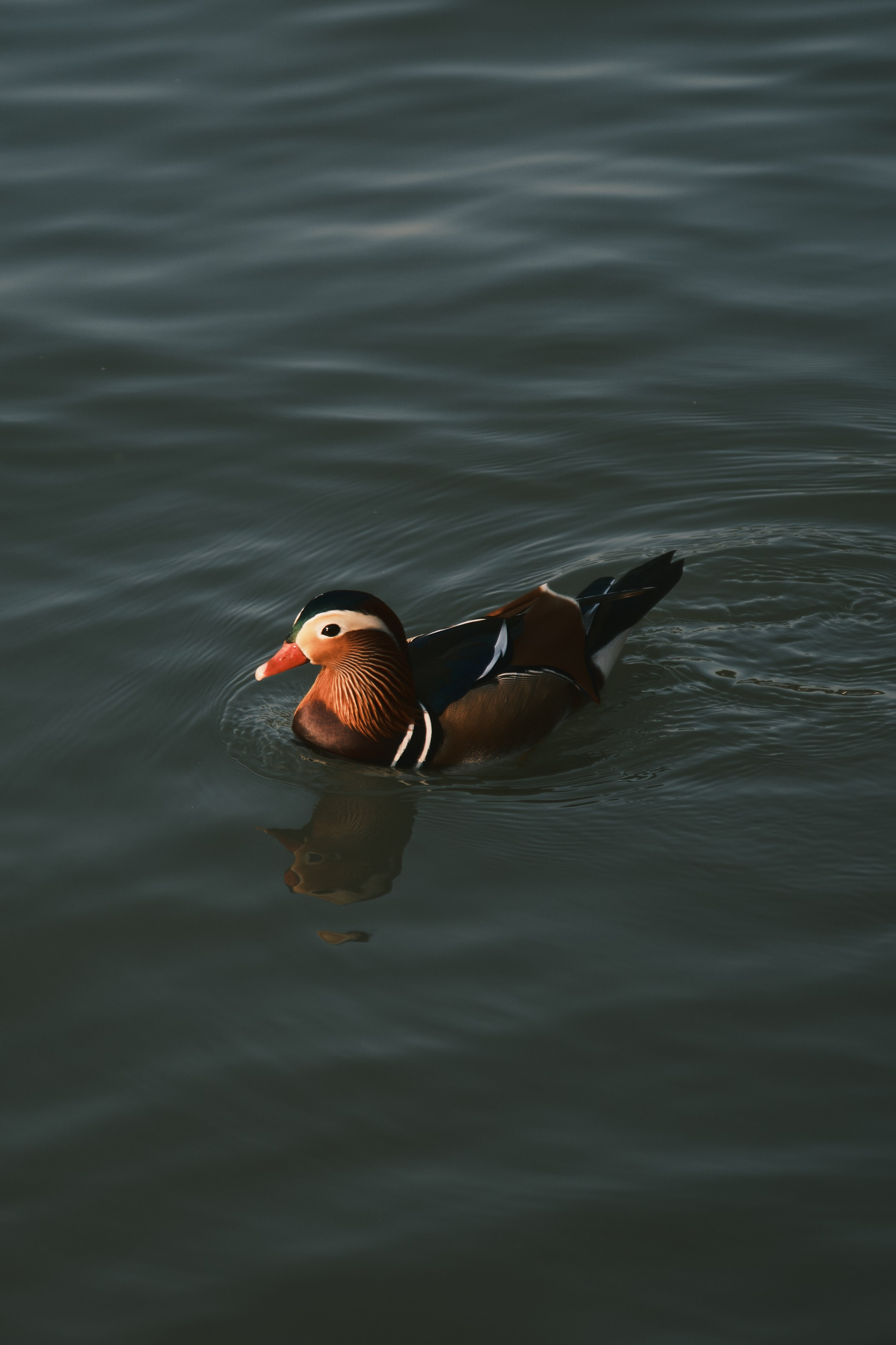 Летний императорский дворец, Пекин
