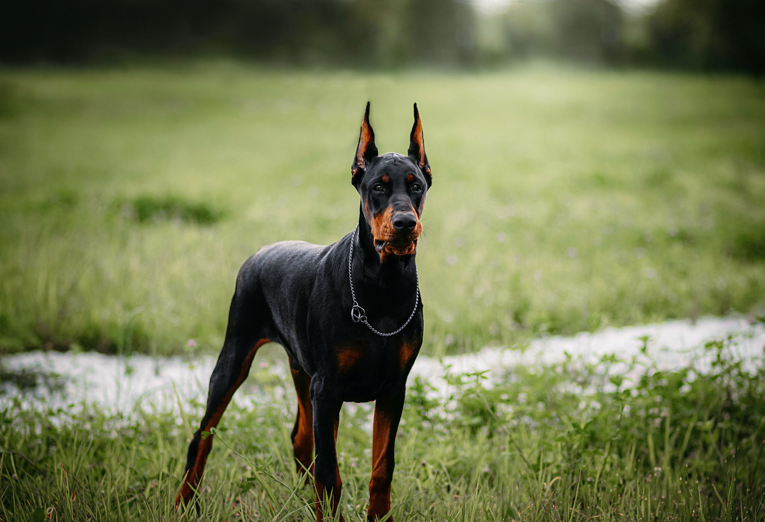 Лимб. Фотограф в Арсеньеве