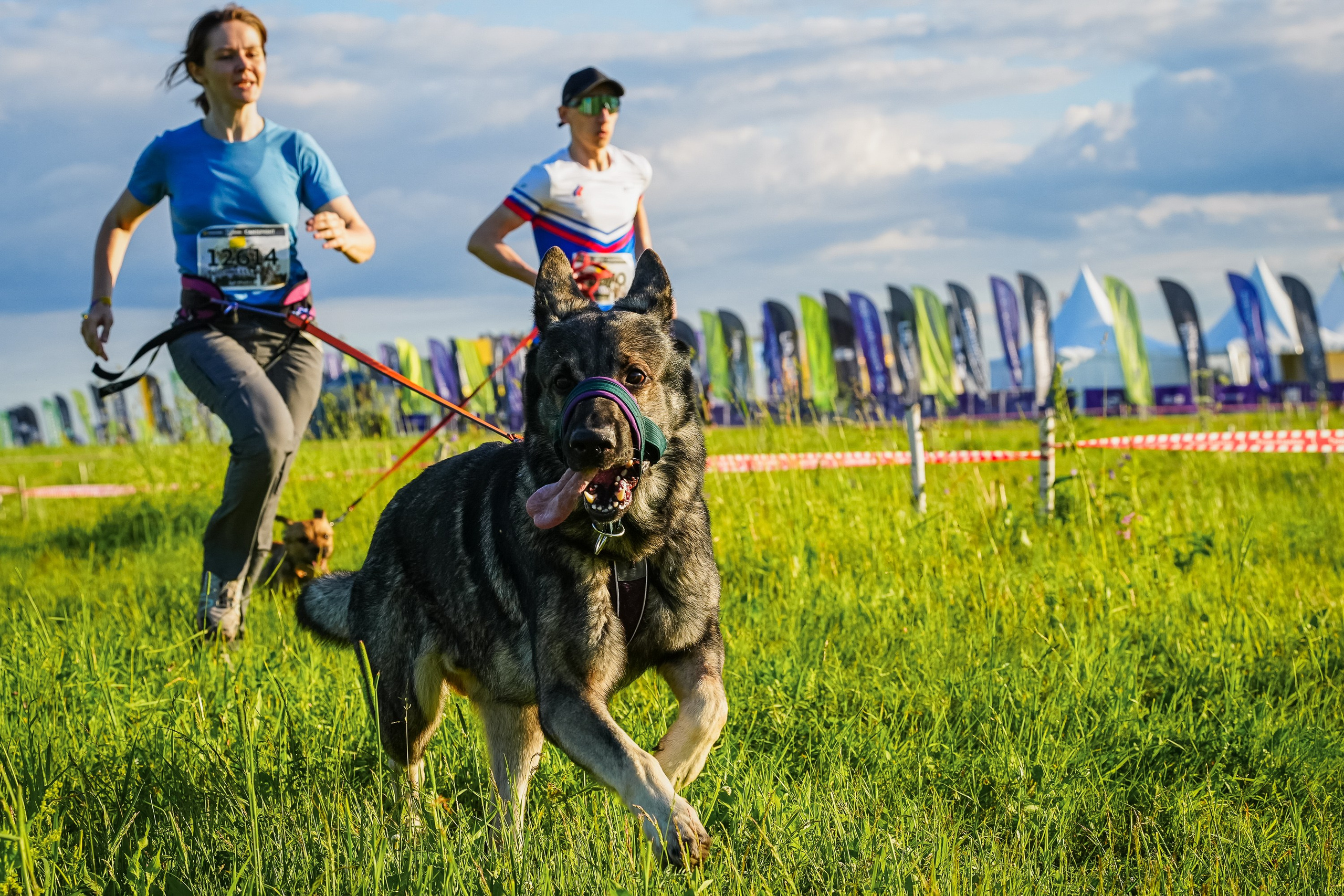 T-Bank Sport Marathon Fest. Sergey Sutkovoy — Designer, photographer, traveler, woodworker