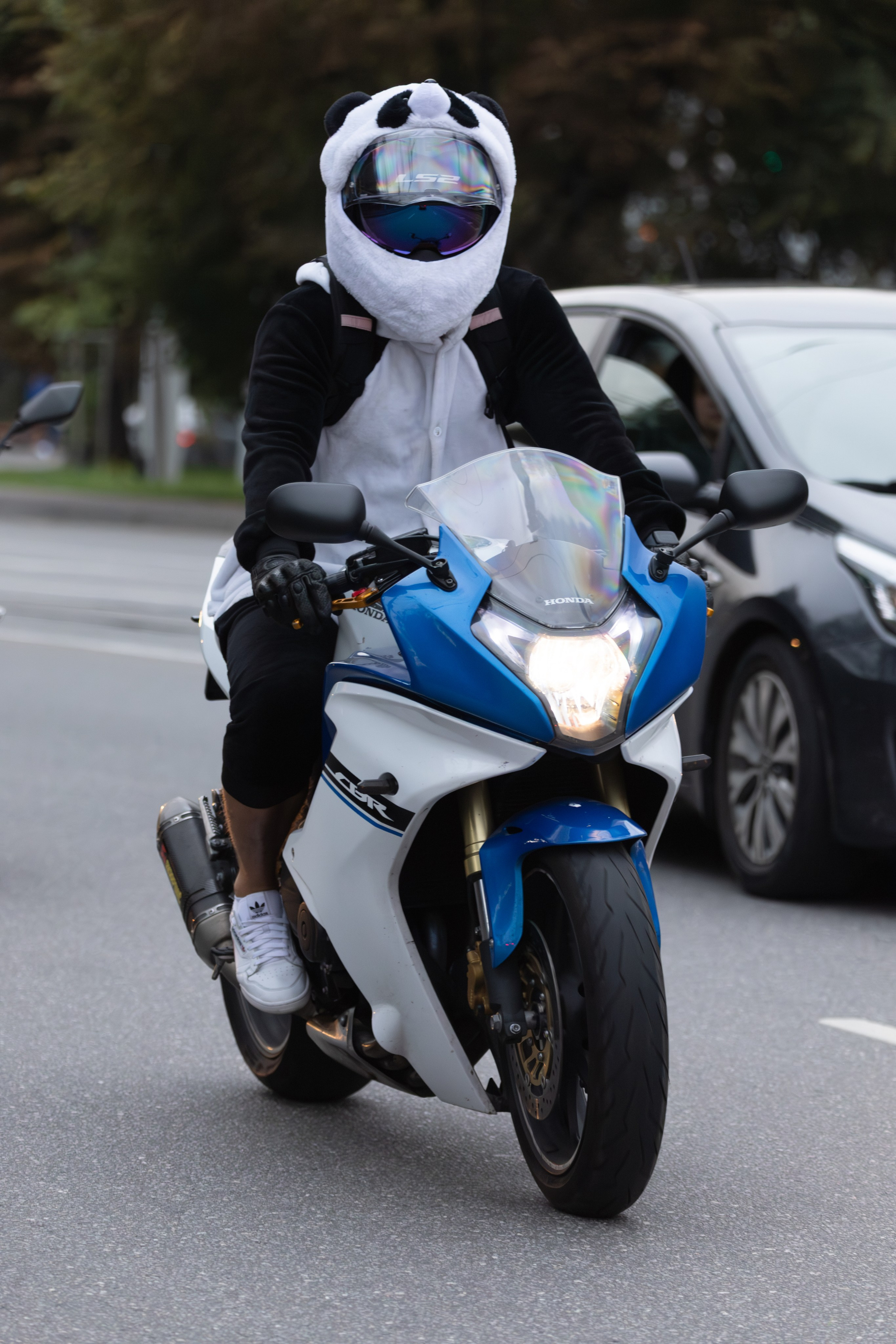 Закрытие Летнего сезона — 2025. — Digital Noise —