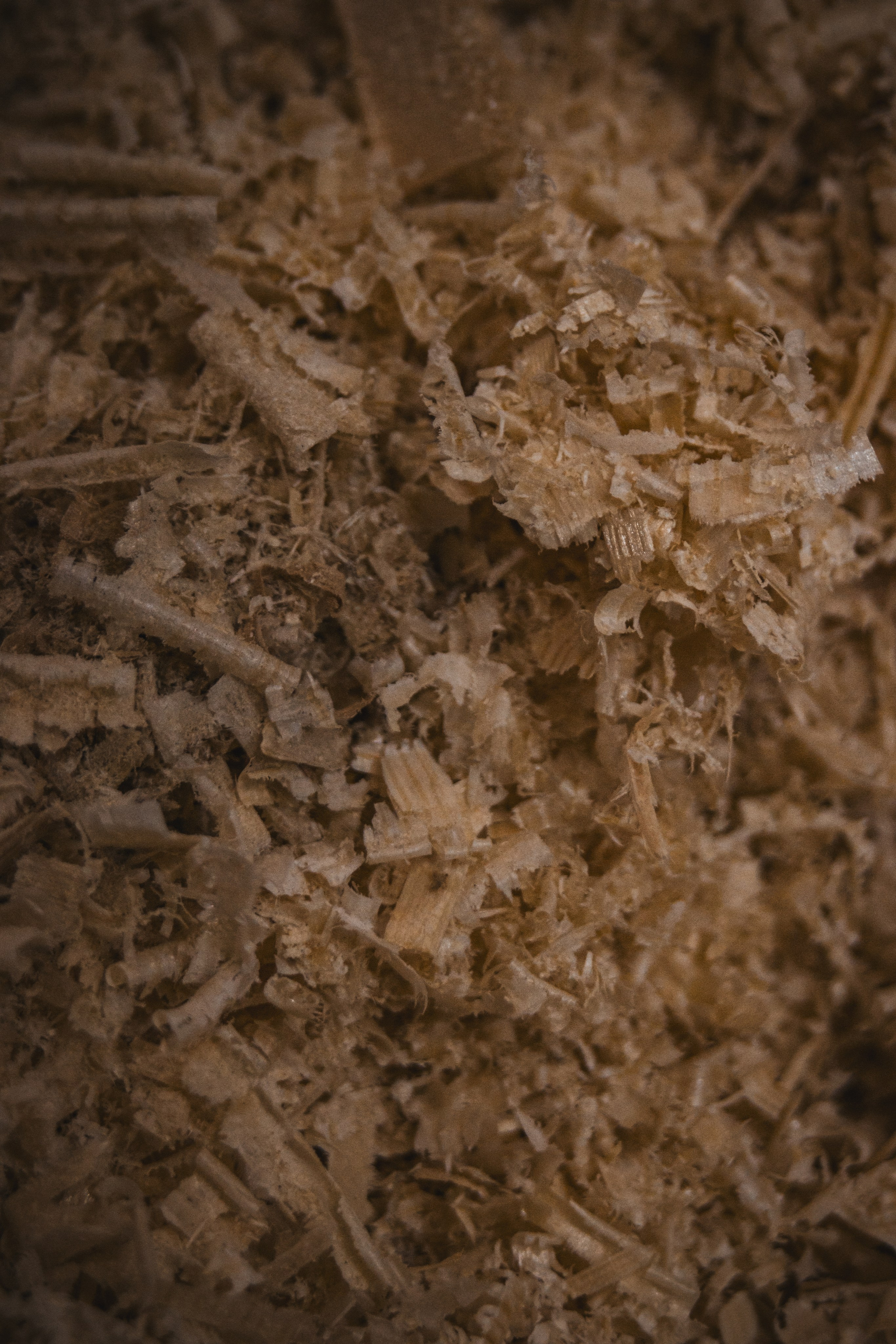 С Т О Л Я Р Н О Е — П Р О И З В О Д С Т В О. — Digital Noise —