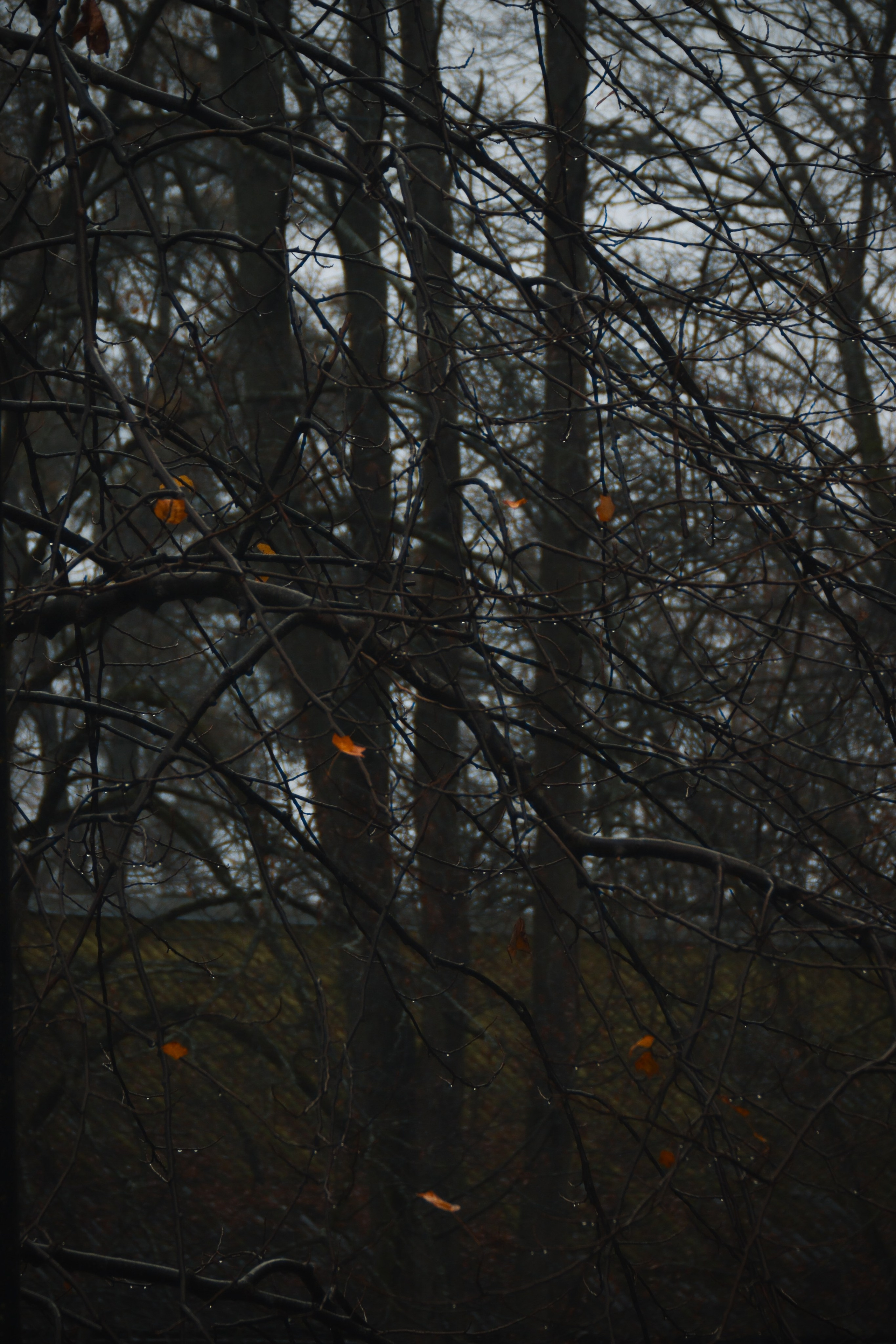 В О Д А. — Digital Noise —