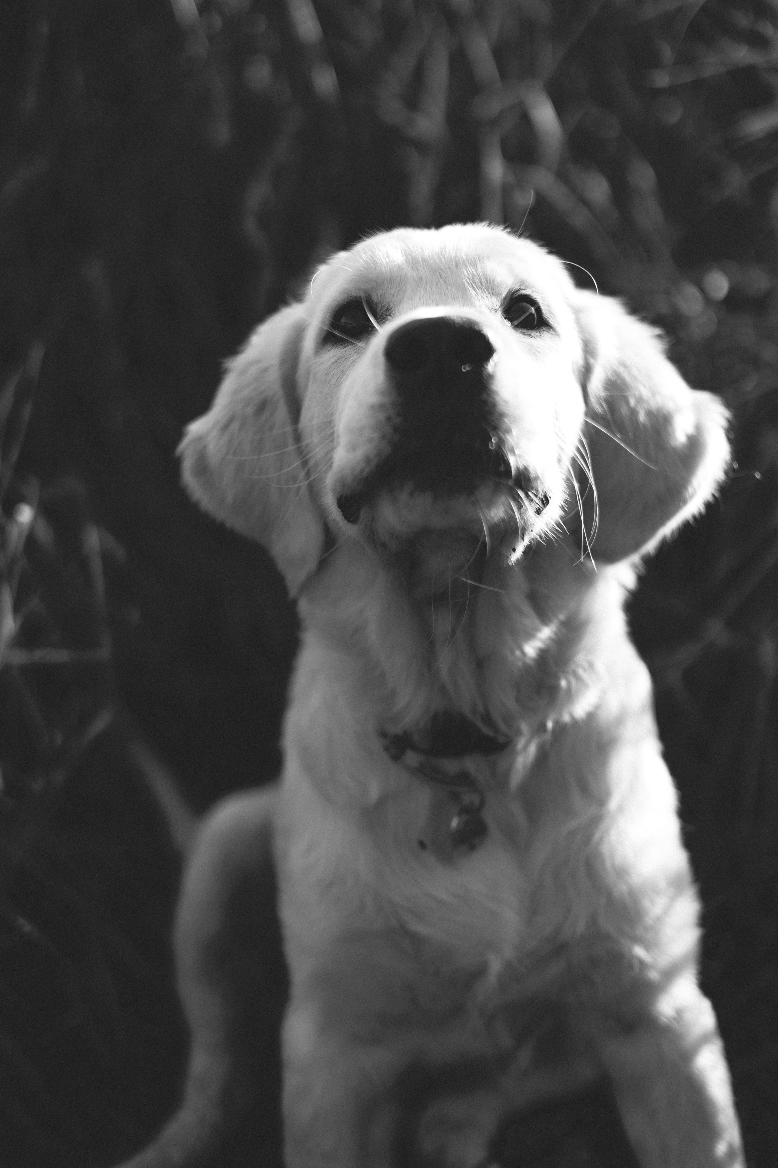 Ленни. Фотограф Челябинск