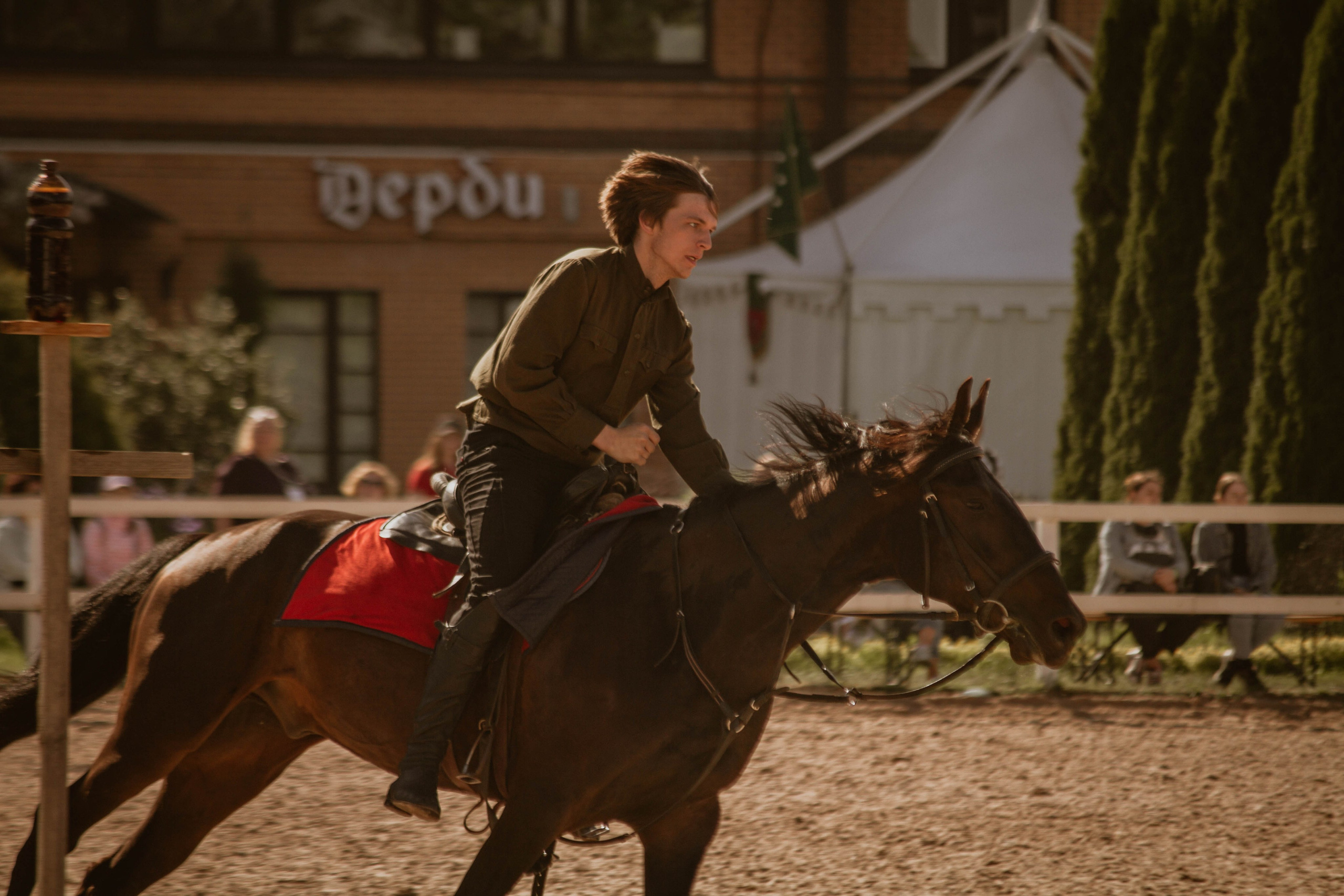 ИППОСФЕРА — Международная конная выставка. Создадим шедевр? Виталина и её фотоискусство
