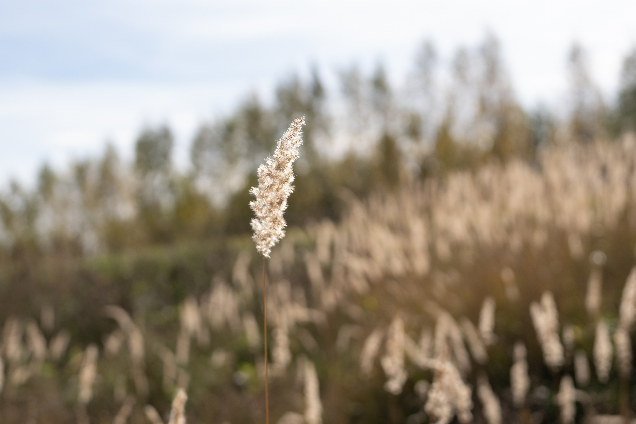 Групповая. Фотограф Наталья Сорока Ижевск