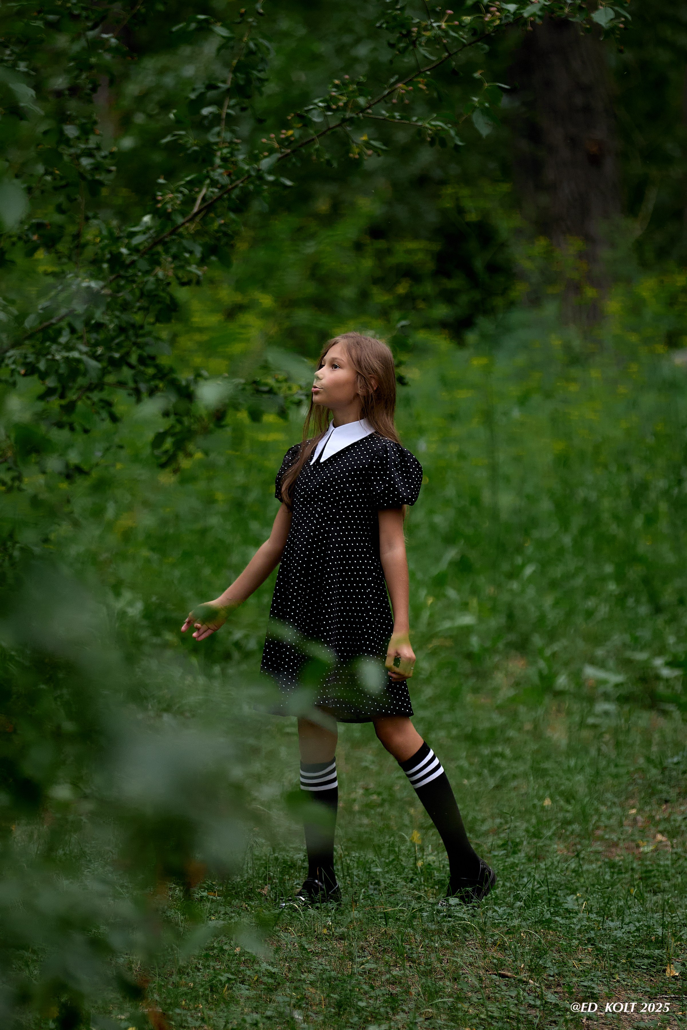 Сказочная тропинка. ФОТОГРАФ ЭДУАРД КОЛТУНОВСКИЙ