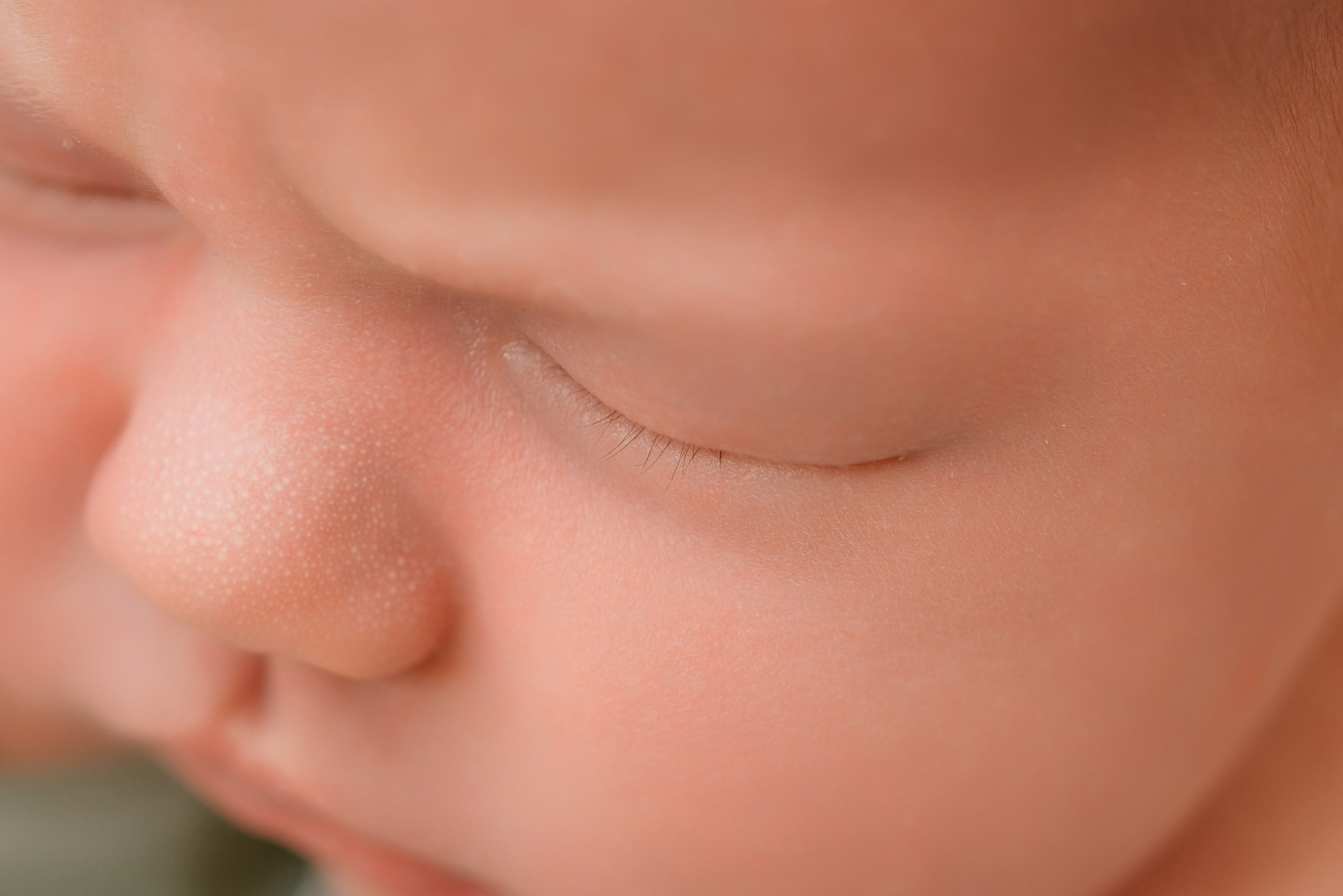 Василиса. Фотограф новорожденных Белгород