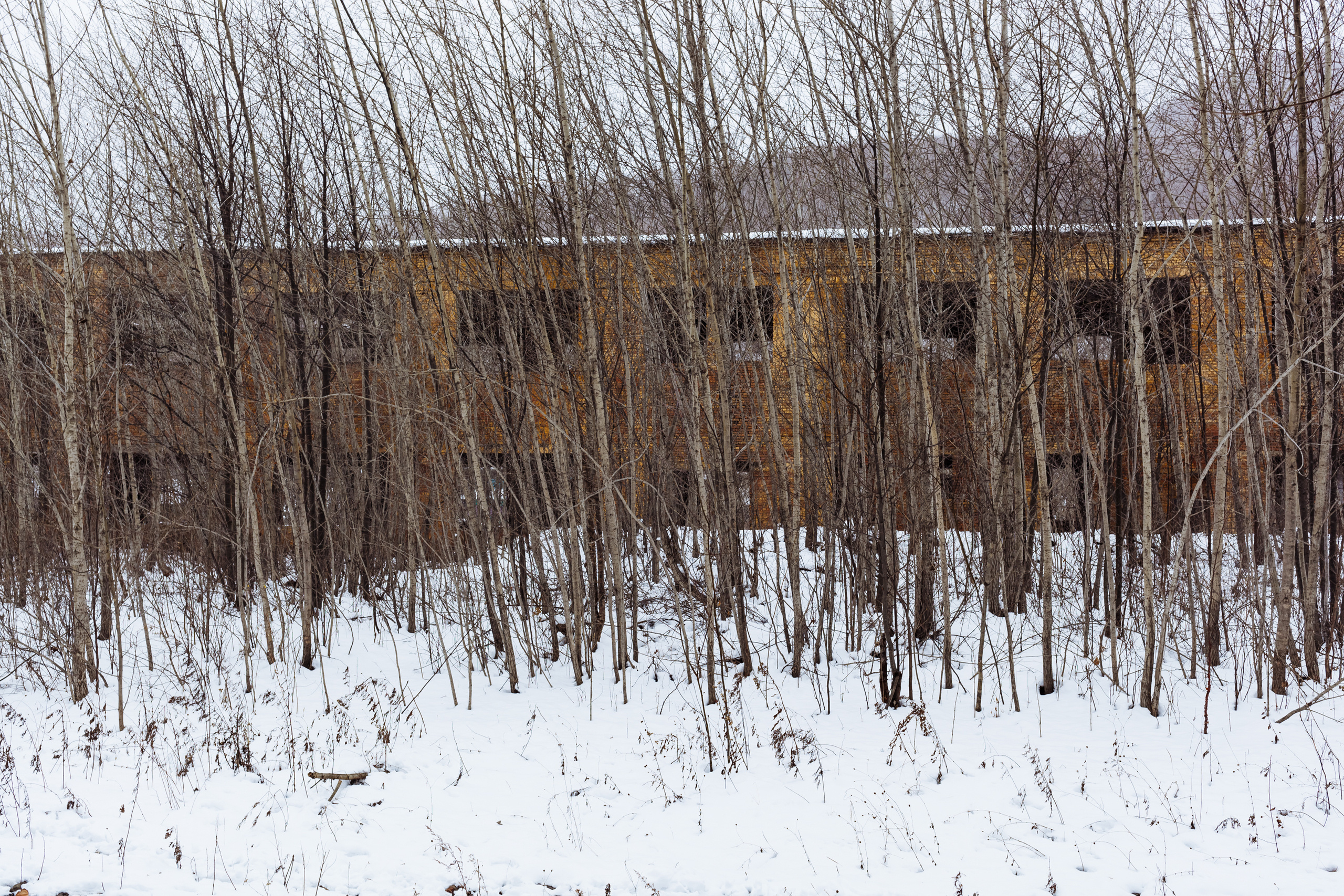 Singles. Evgeniya Kokurina