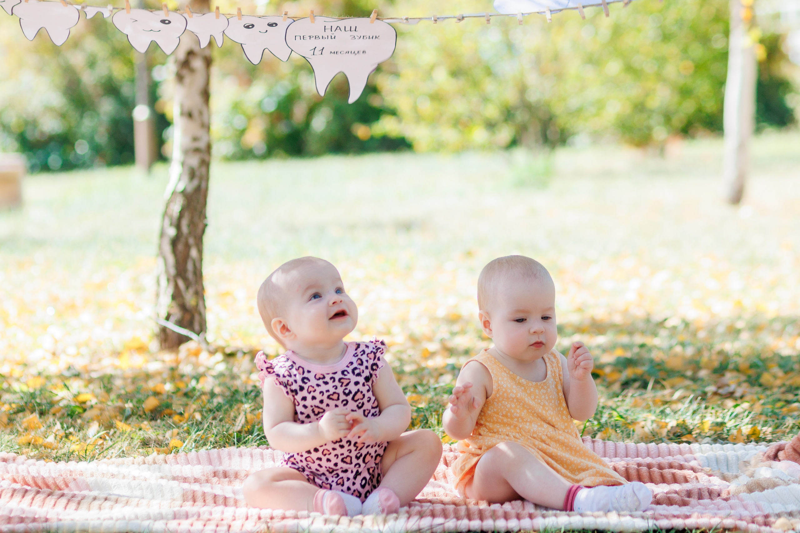 Первый зубик. Свадебный и семейный фотограф в Армавире
