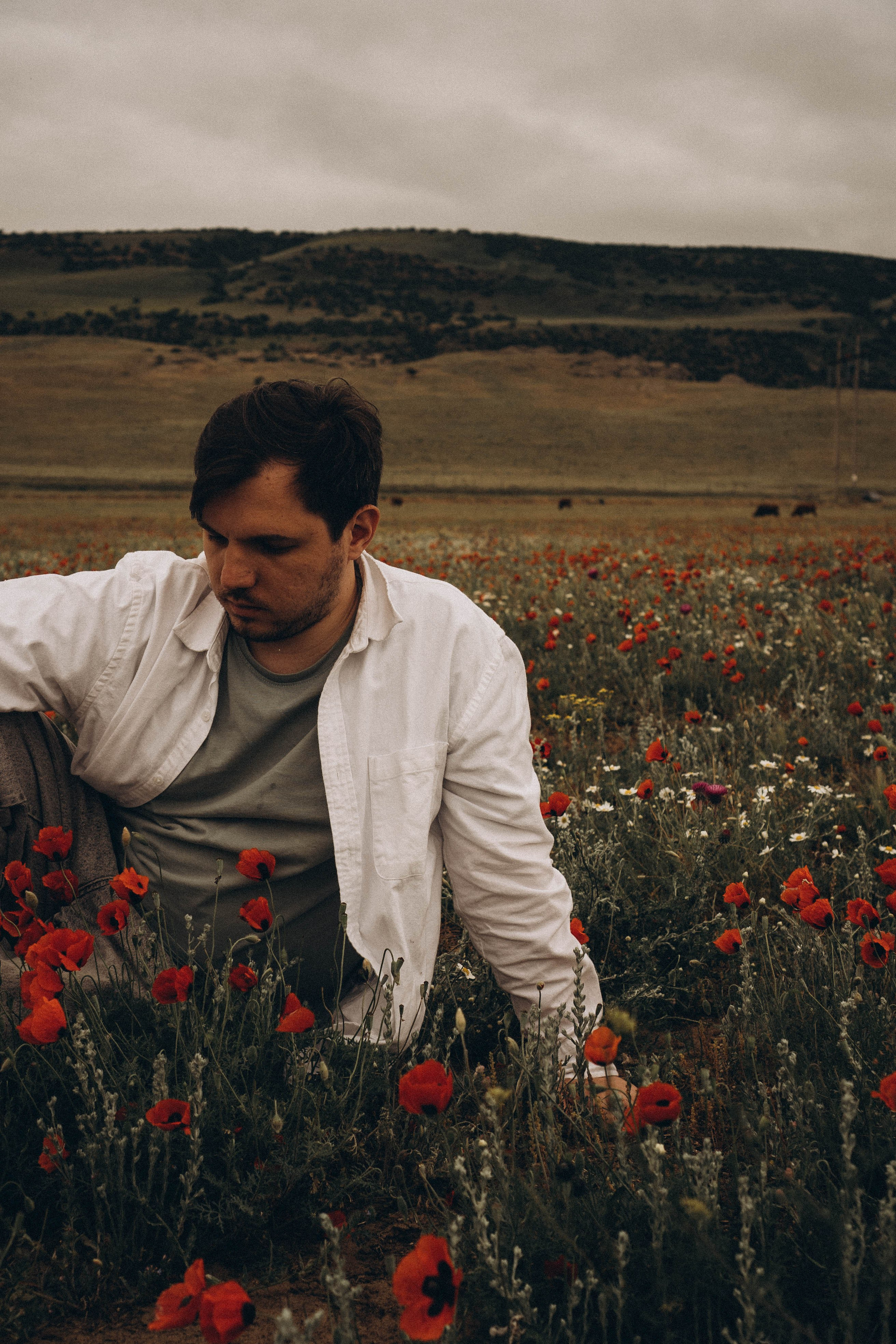Маки. Профессиональный фотограф, Санкт-Петербург — Виктория Богомолова