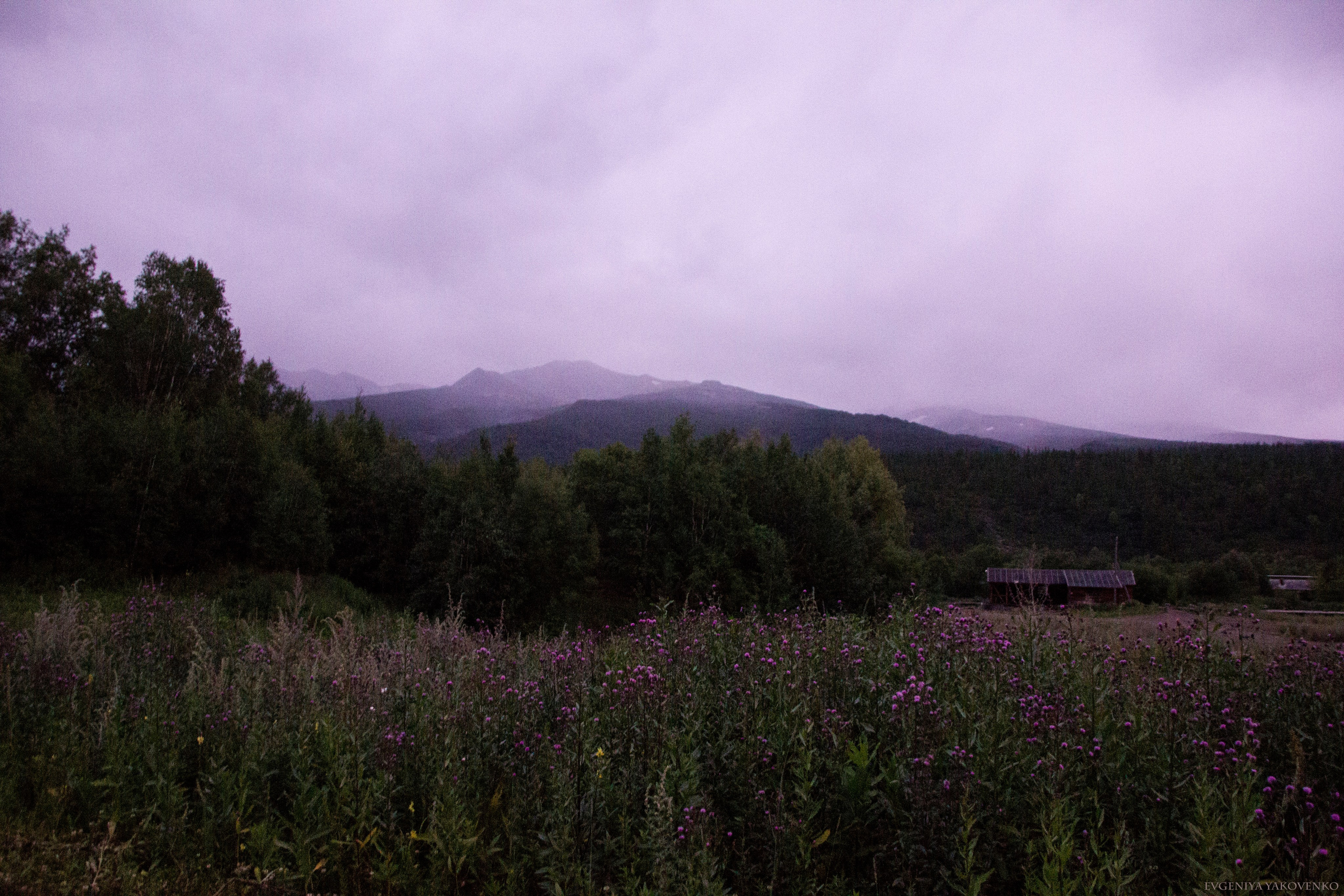 Камчатка, 2018. Портретный фотограф в Москве Евгения Яковенко