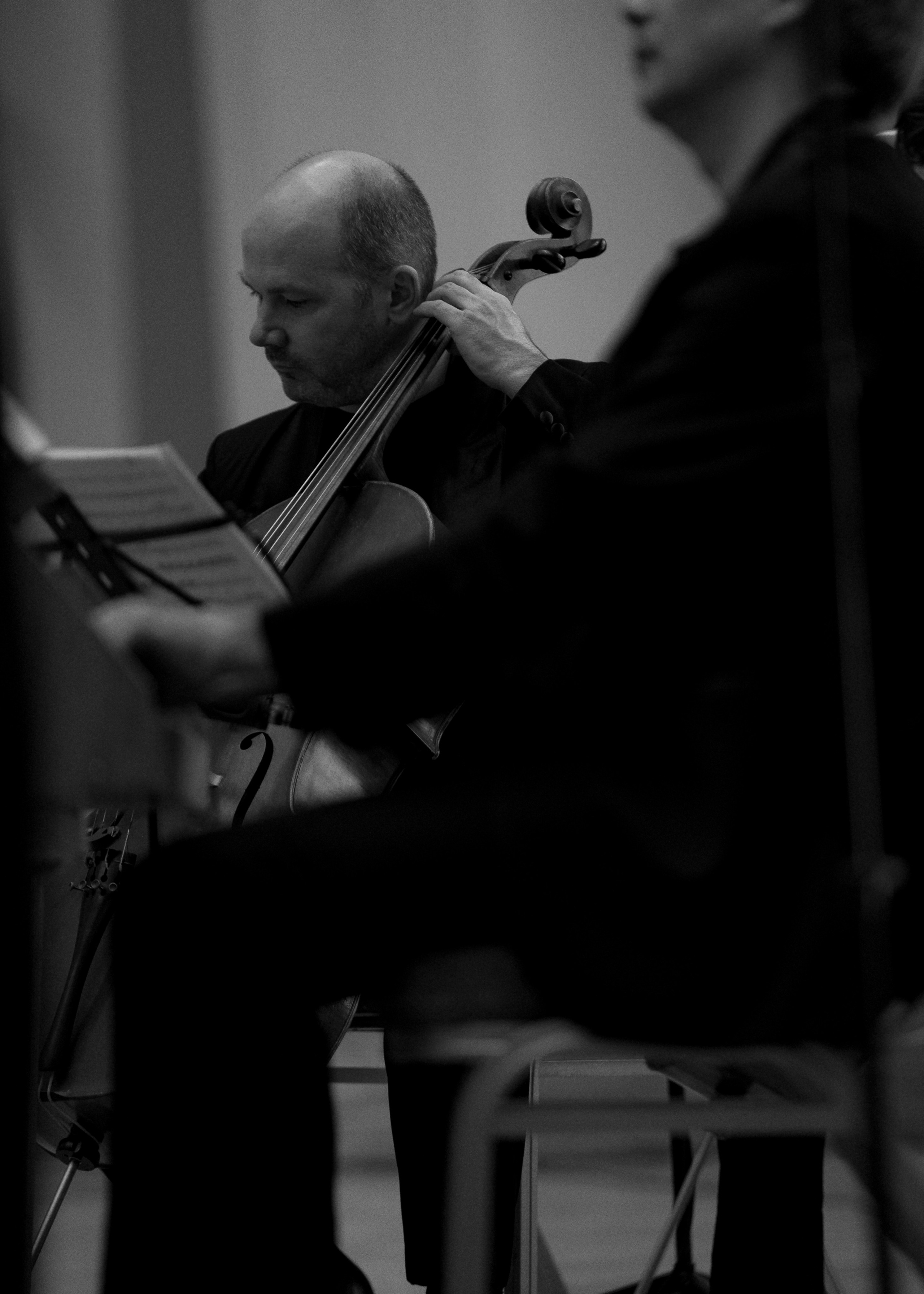 The State Hermitage Museum. Divertissement Chamber Orchestra. Фотограф Ирина Соколенко Санкт-Петербург