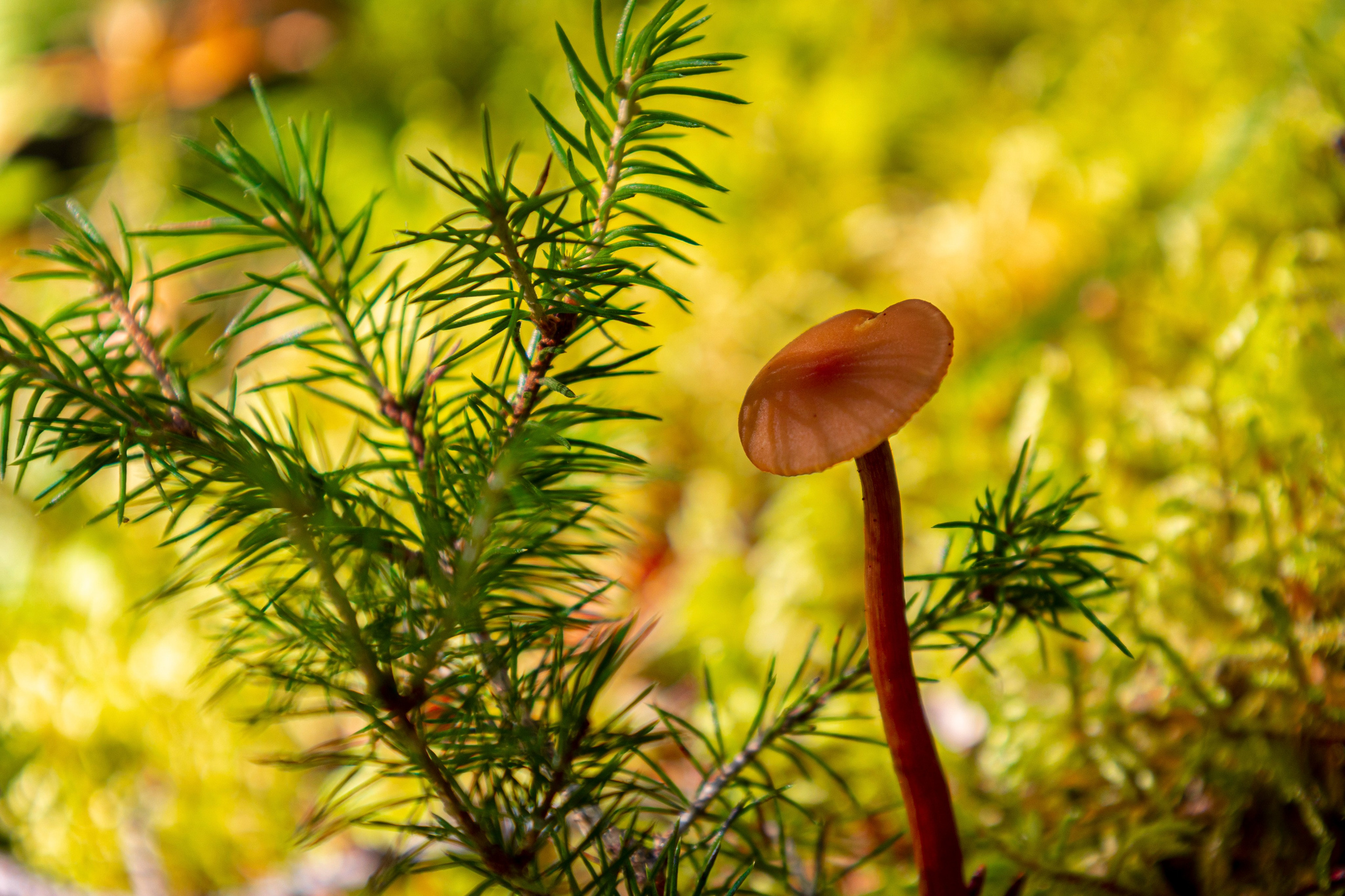 Мы все такие разные!