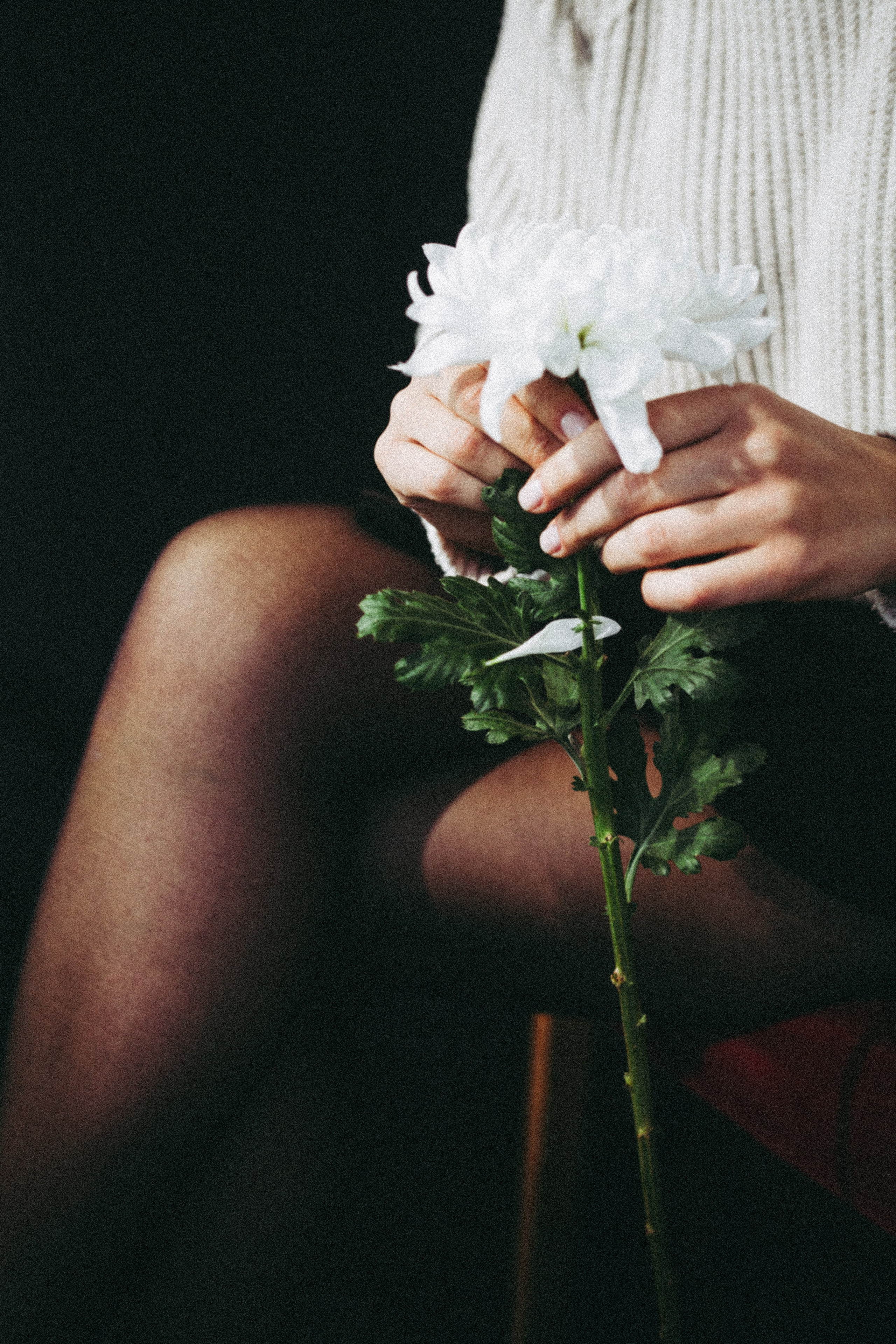 Марьяна. Семейный фотограф в Краснодаре