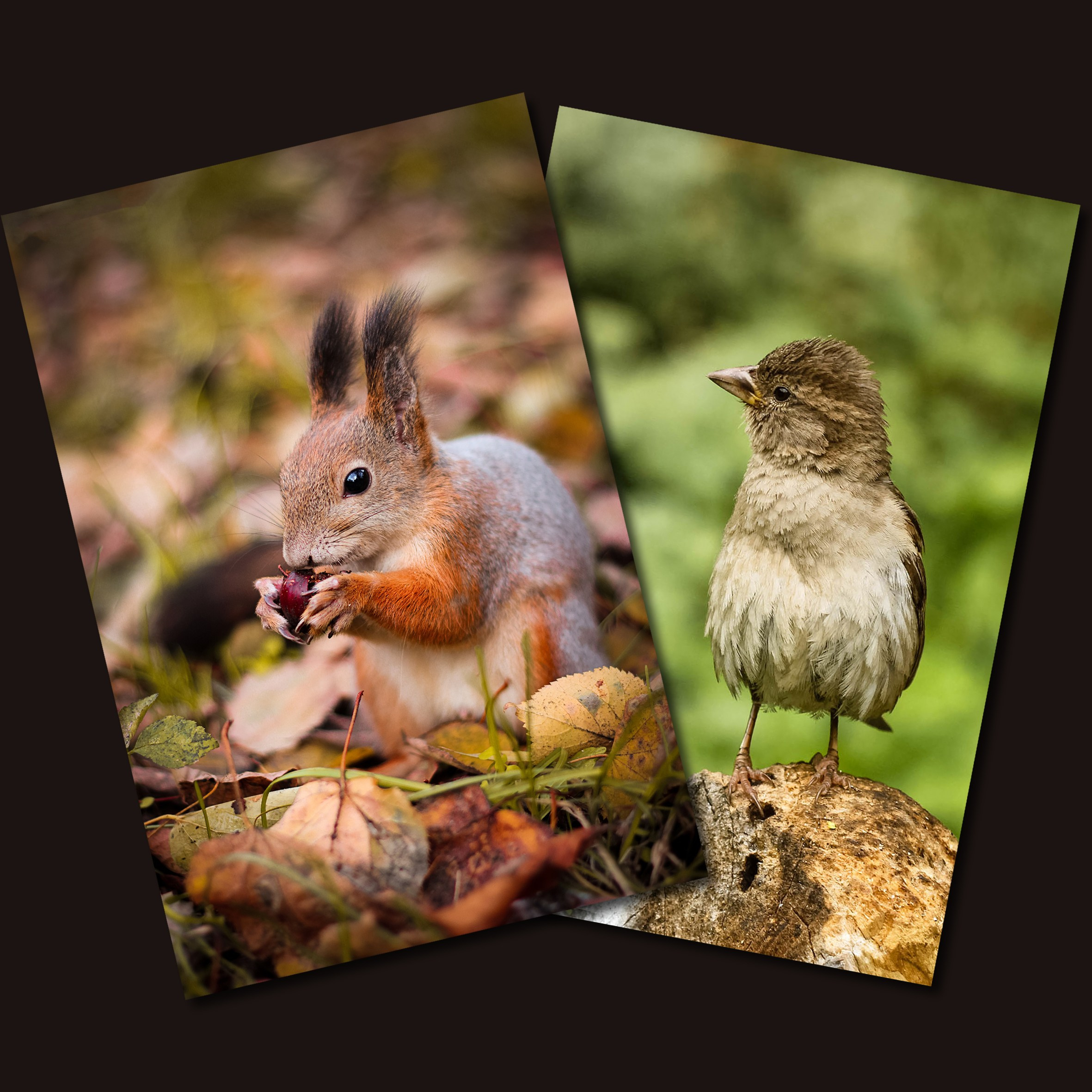 Обо мне. Ксения Воробьёва | Детский семейный фотограф и видеограф в Екатеринбурге