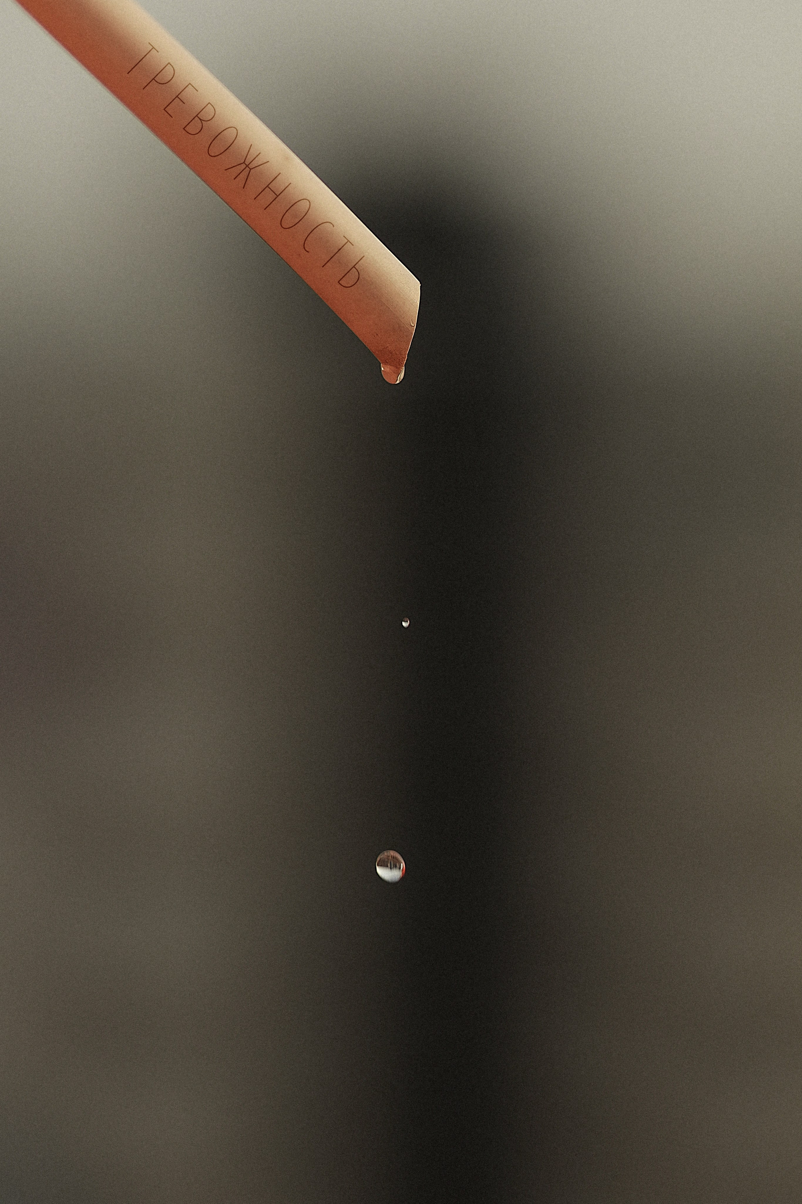 Проект «366»|2024|Фото каждый день. LENA GRACE photographer ||ЛЕНА ГРЭЙС фотограф