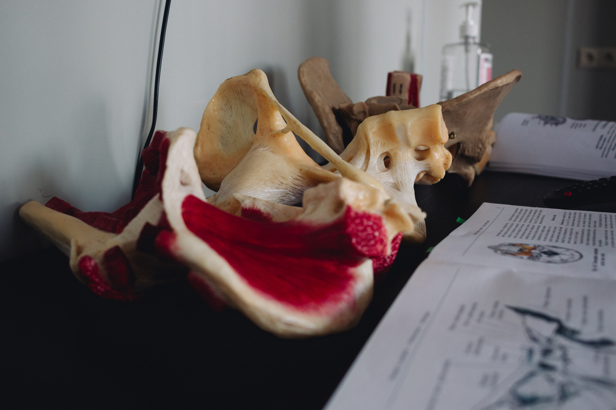 Репортажная съемка. Твой фотограф на все случаи жизни в Краснодаре