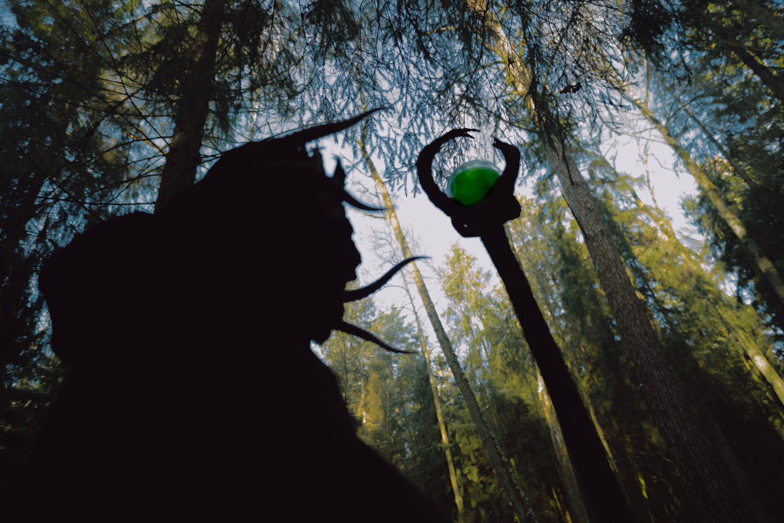 «Дух леса». Фотограф (Москва, Мытищи)— Комова Анастасия