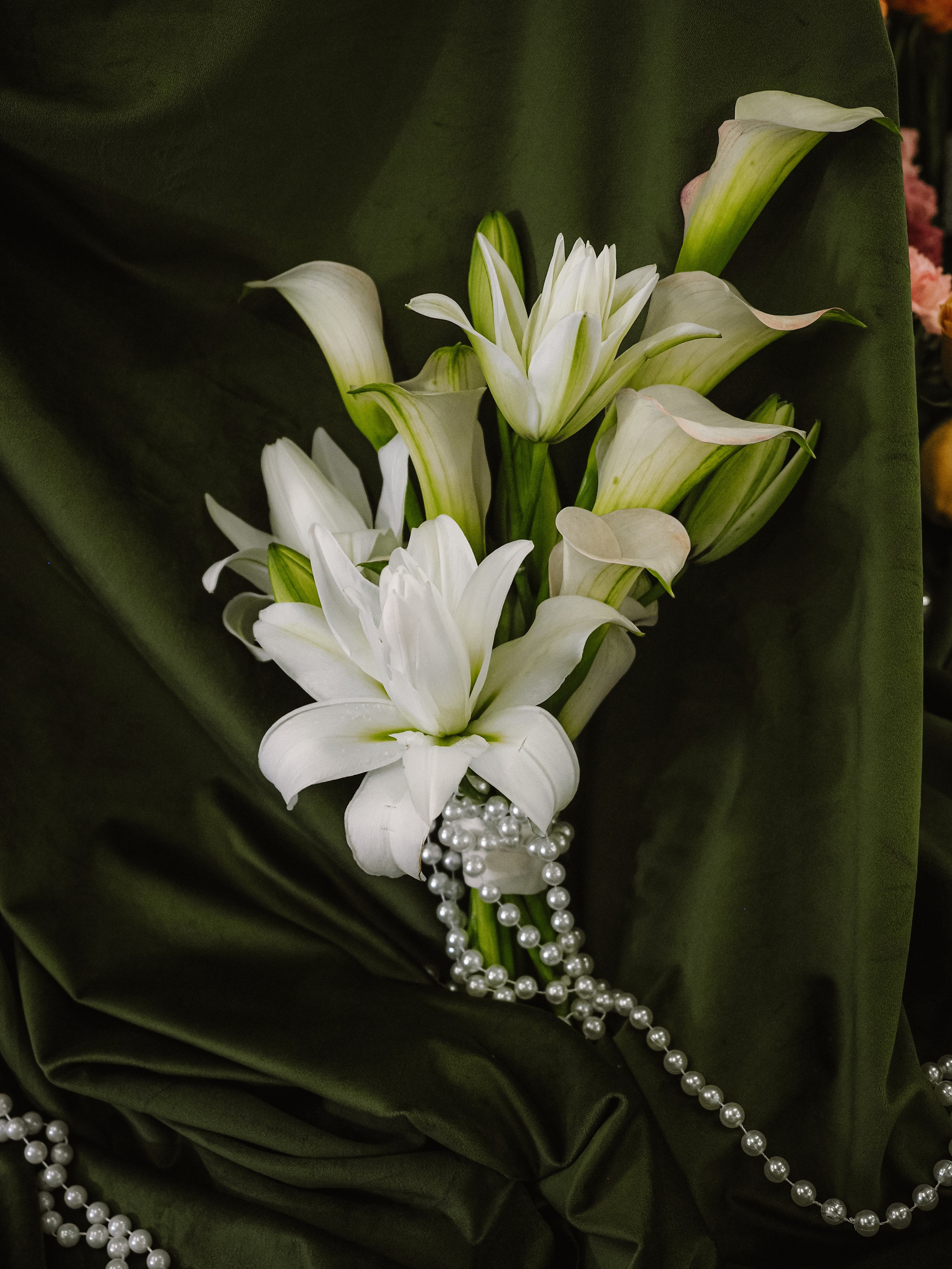 Сергей и Яна. Фотограф Рязань. Семейный Свадебный фотограф