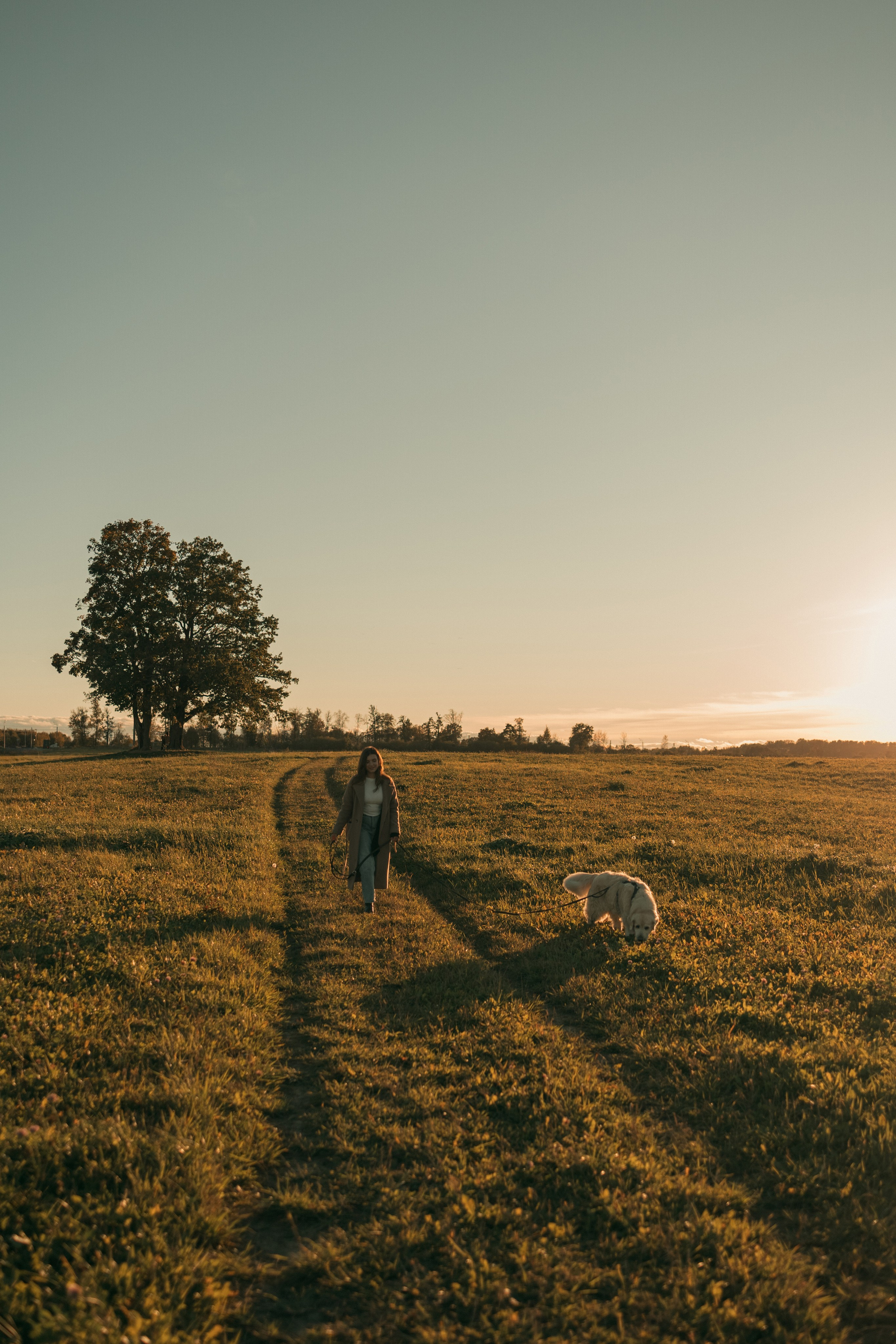 Лера и Скай. Фотограф — Анималист | Санкт-Петербург