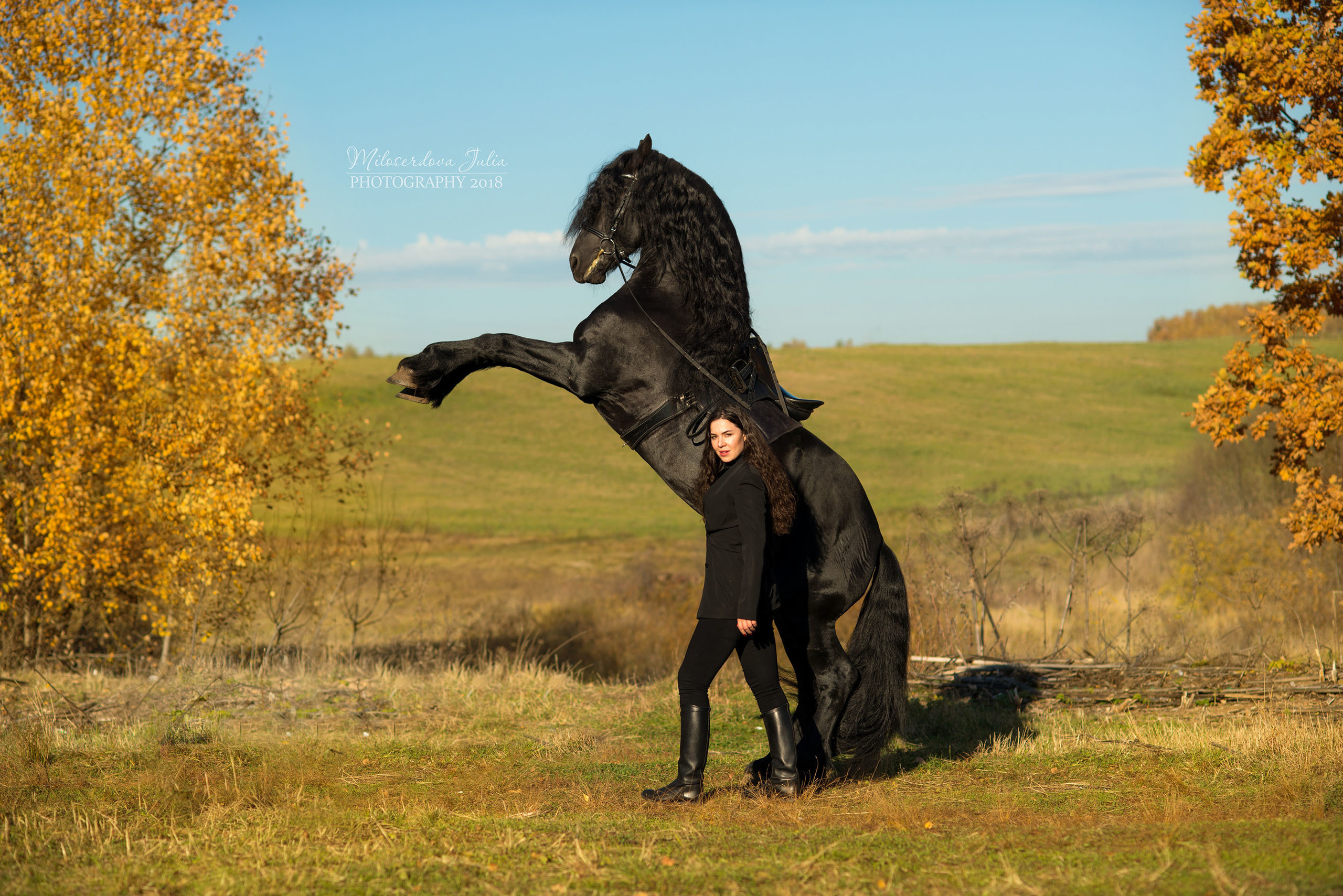 Фотосессии с лошадьми. Фотограф Юлия Милосердова